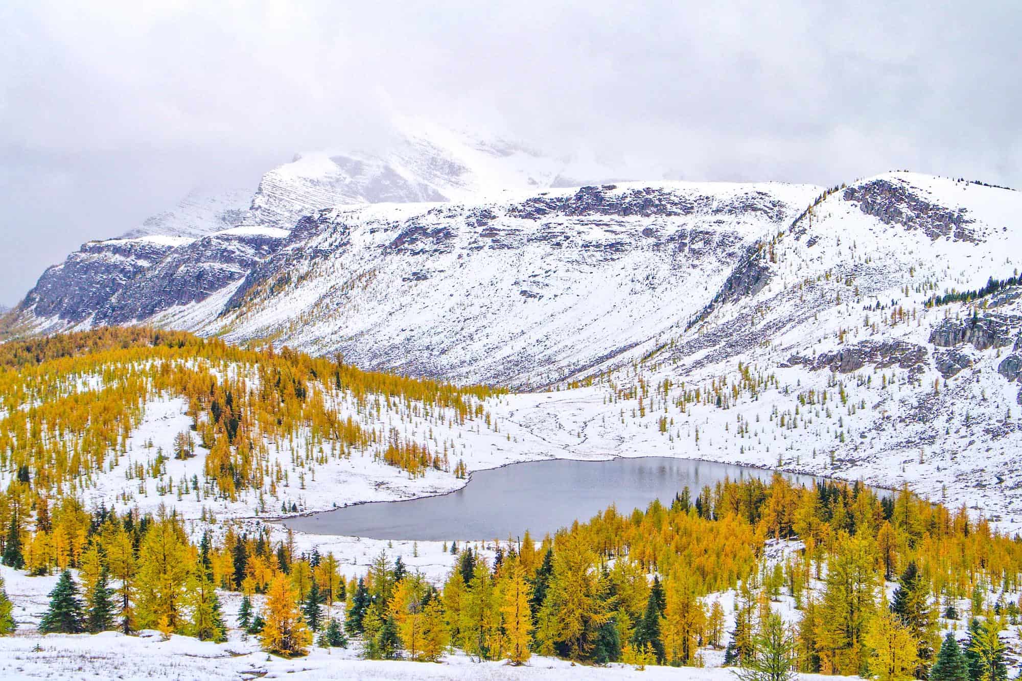 banff snowshoeing tours