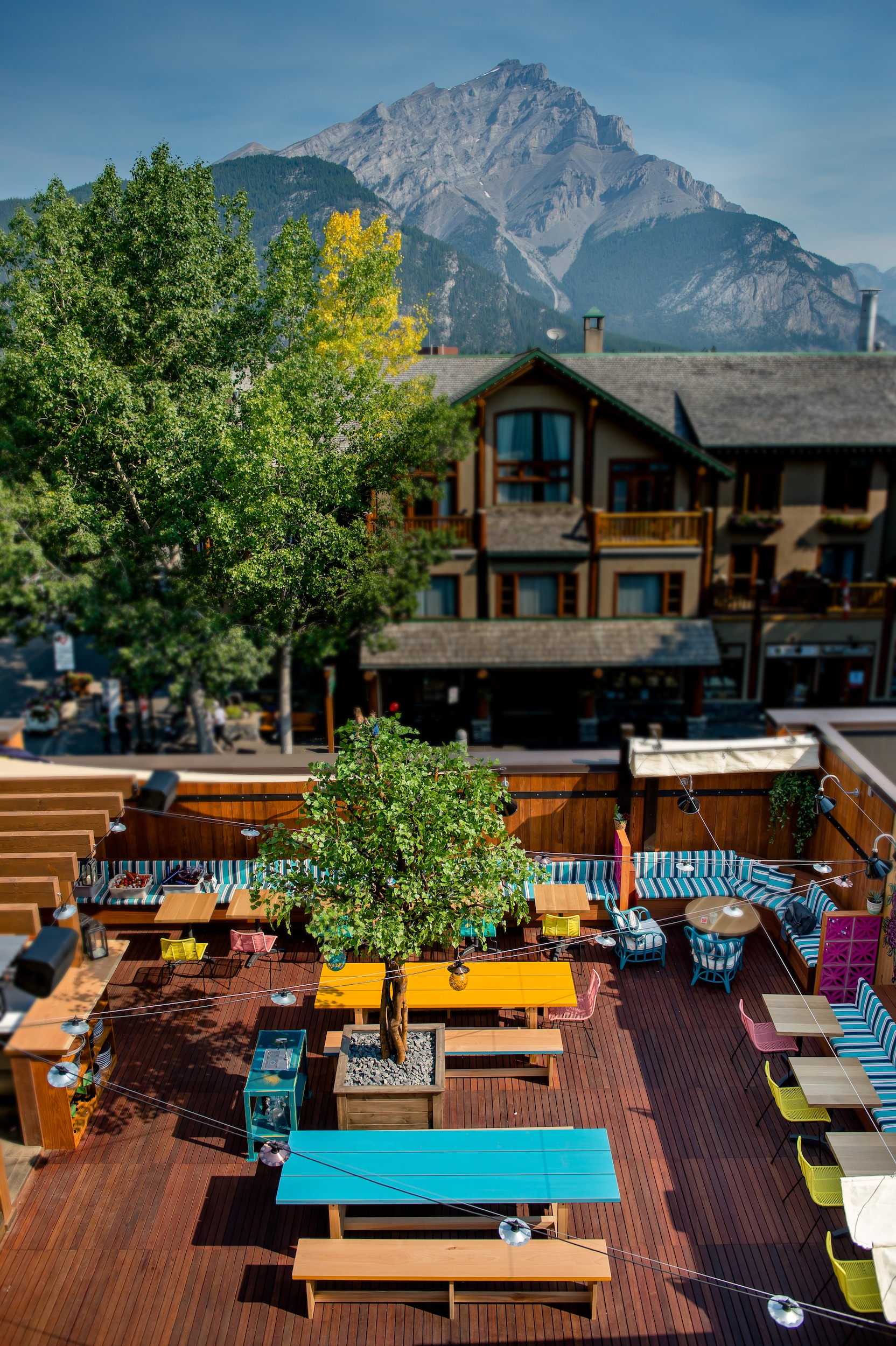 The Summer Patio At Magpie And Stump Or "El Patio"