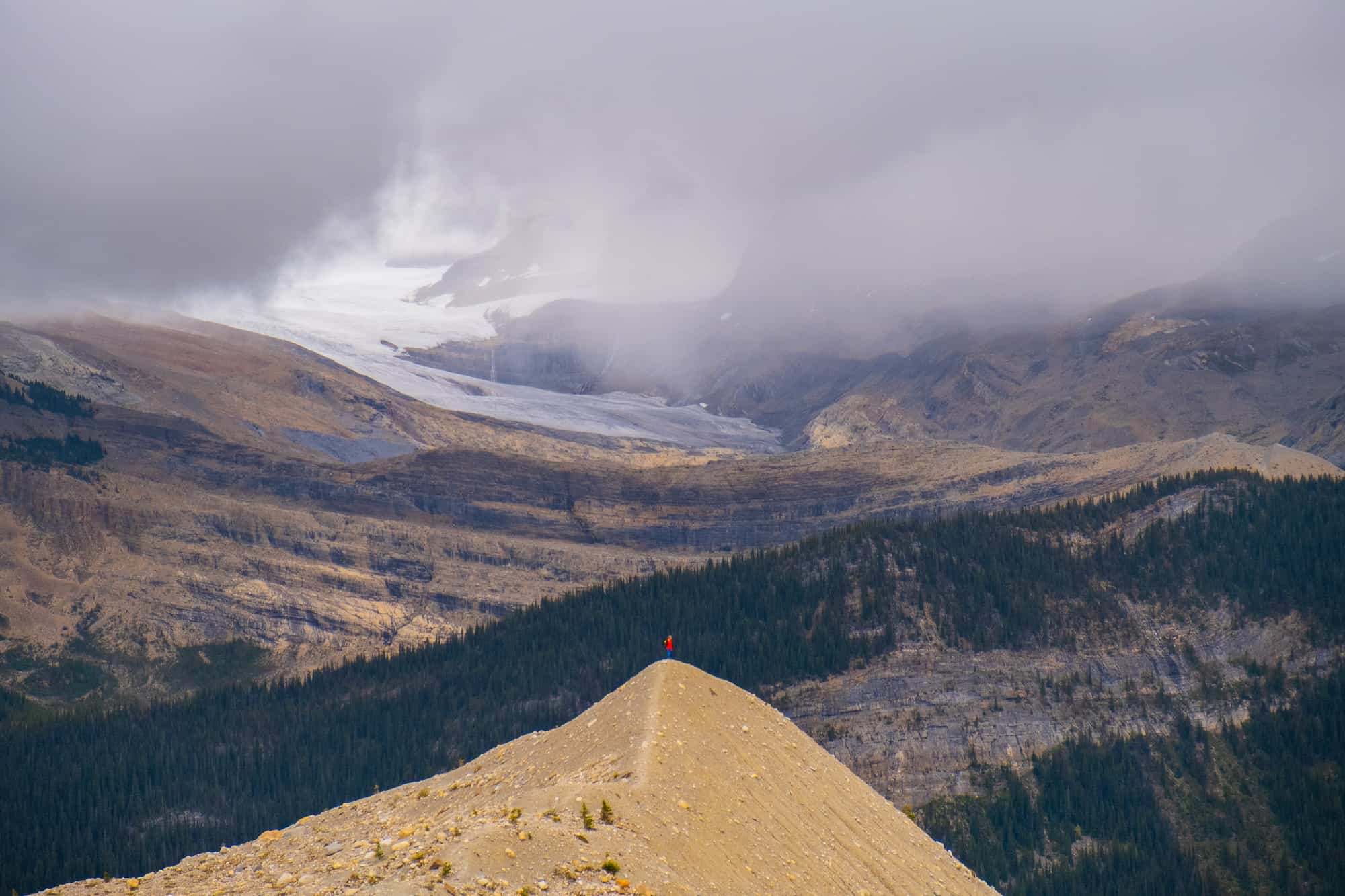 Iceline Trail in Yoho 