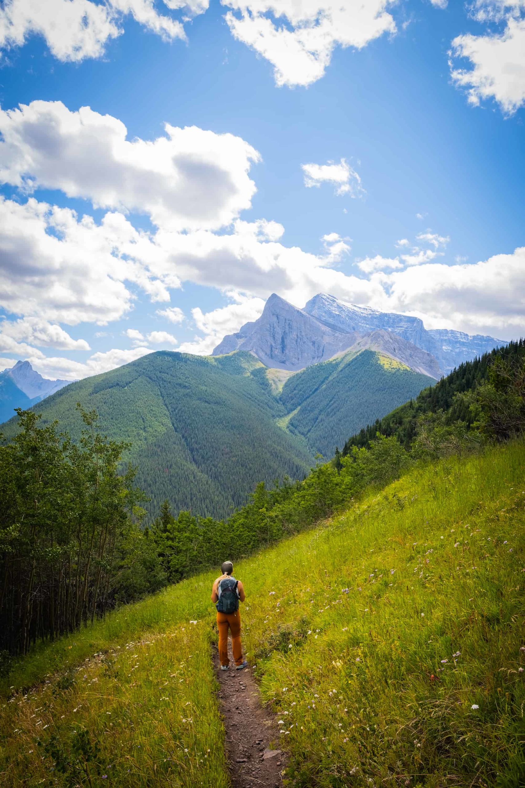 Mount Allan Hike Beginning