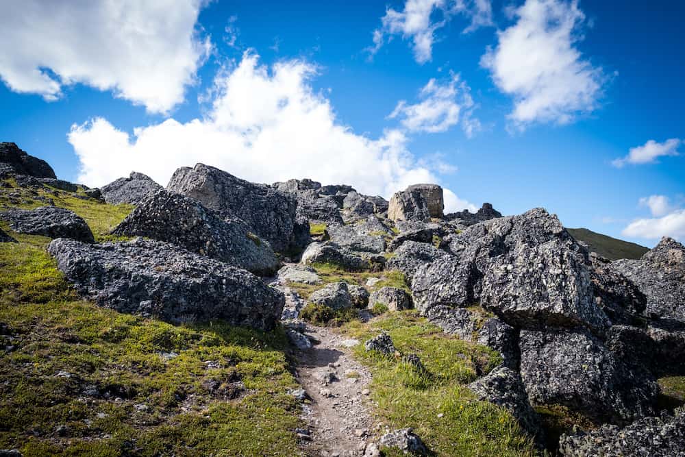 the trail up Mount Allan