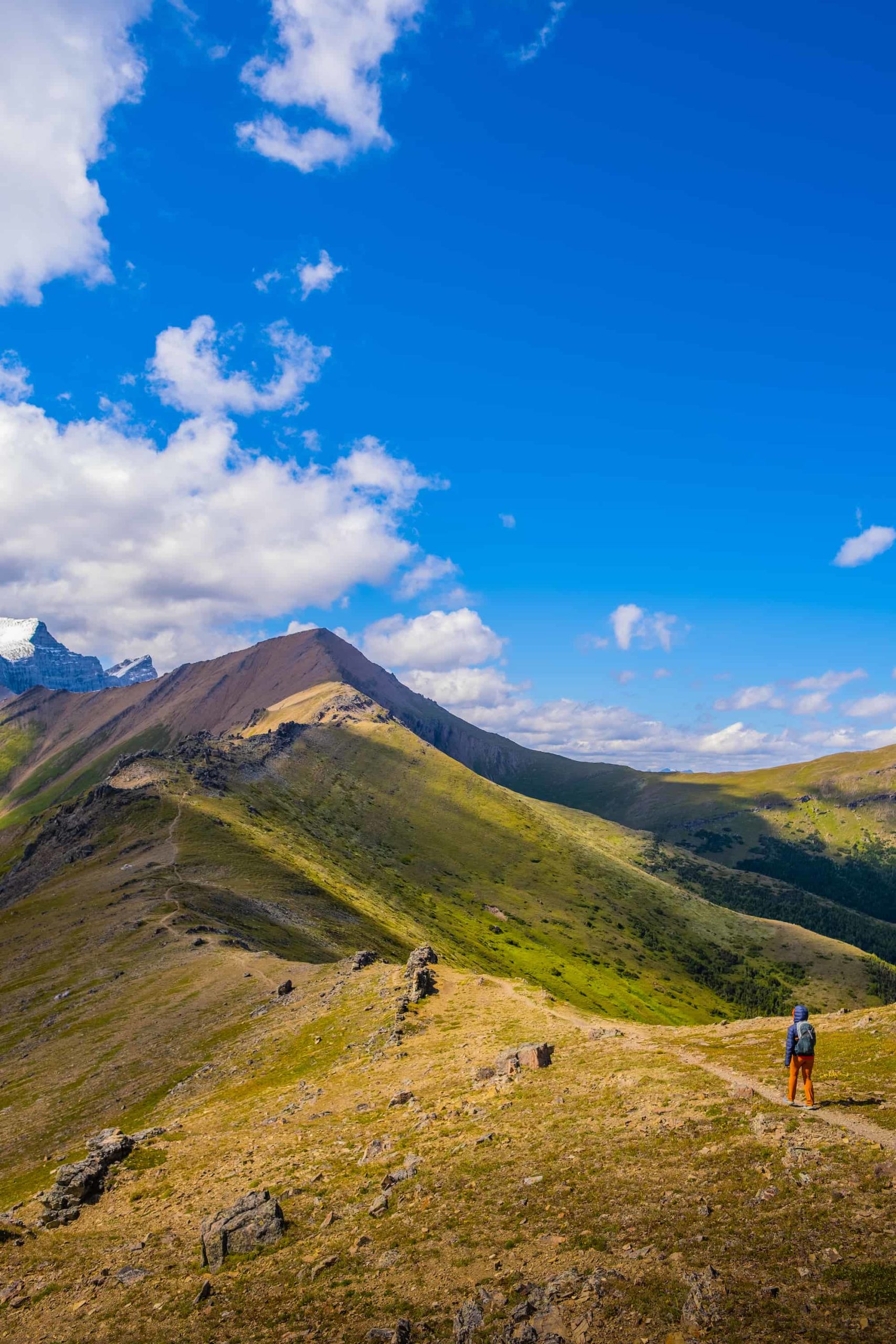 Natasha Walks Along the Ridge Trail To Summit Of Mount Allan