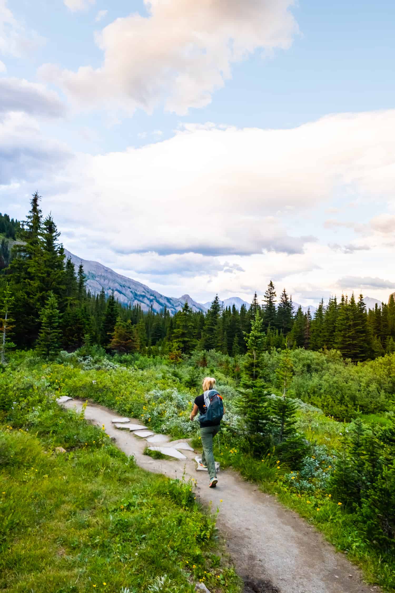 Bougeau Hike