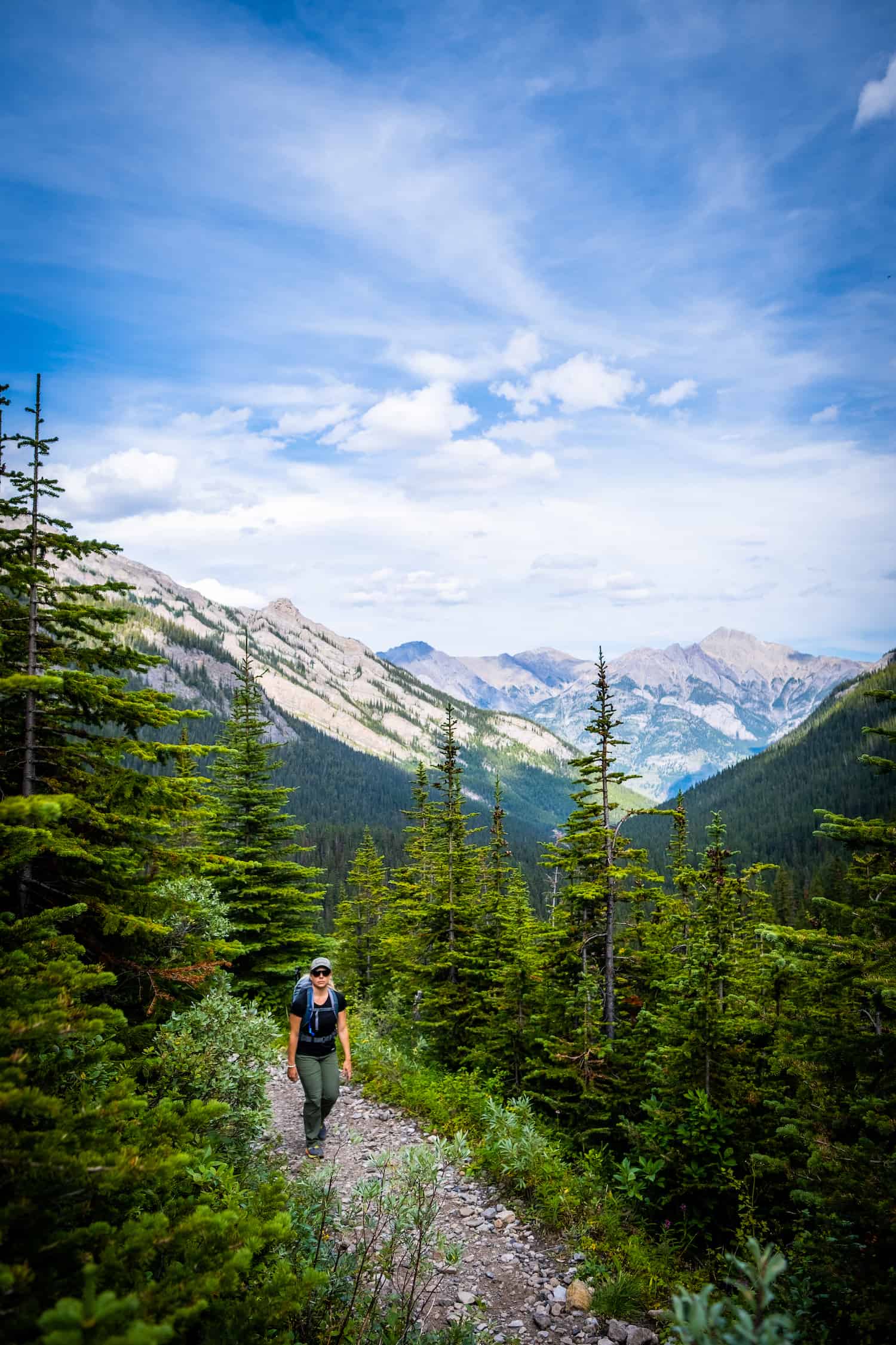 Mount Bourgeau Hike