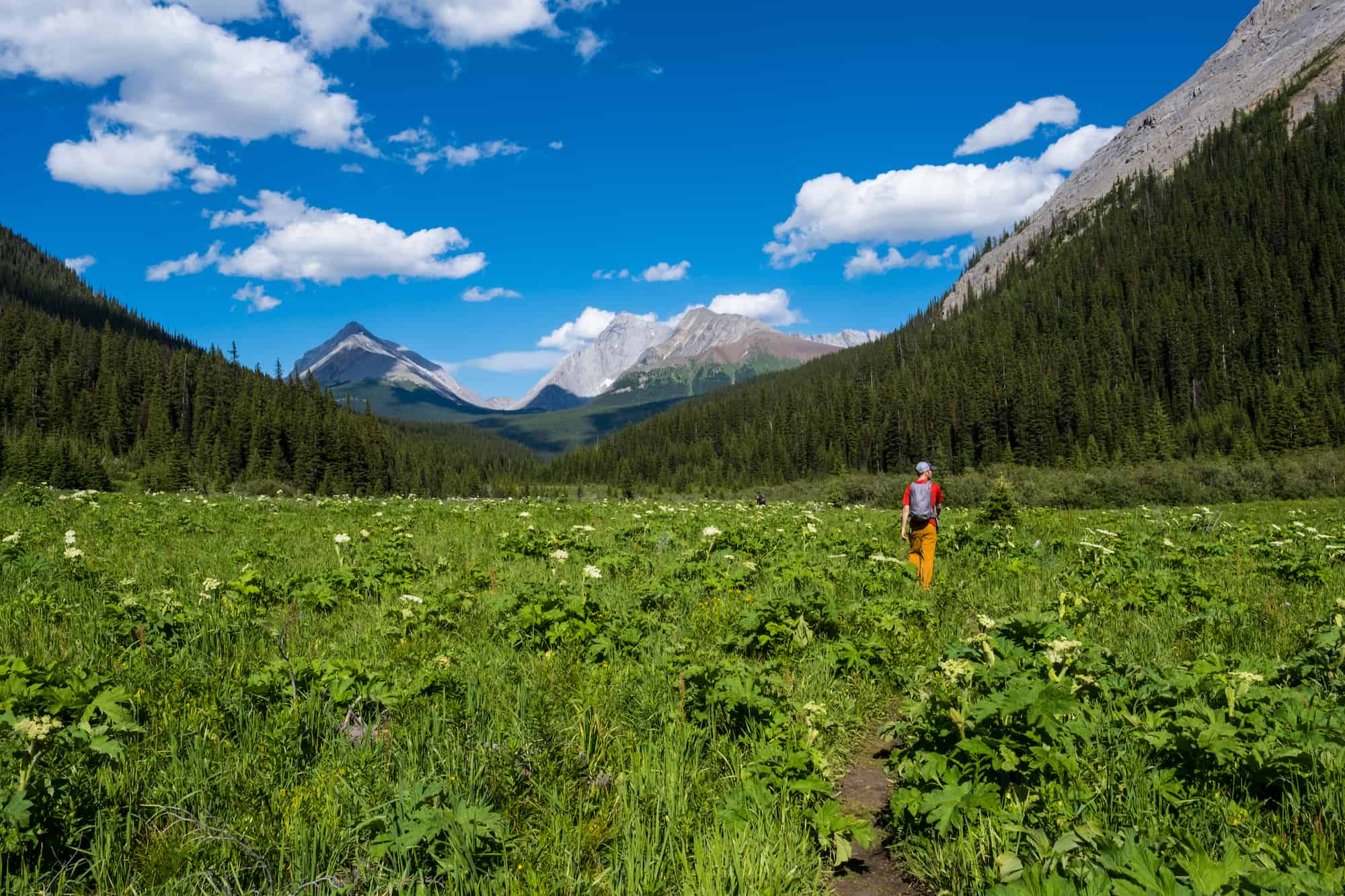 hiking in Banff