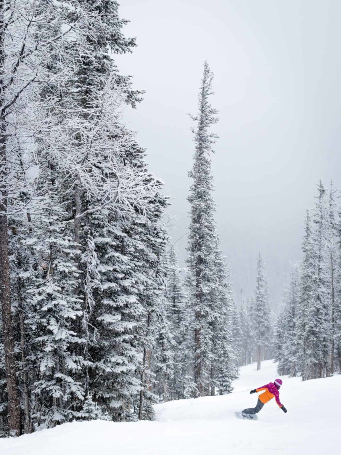 Nakiska Ski Resort 11 Things To Know BEFORE You Ski (Kananaskis)