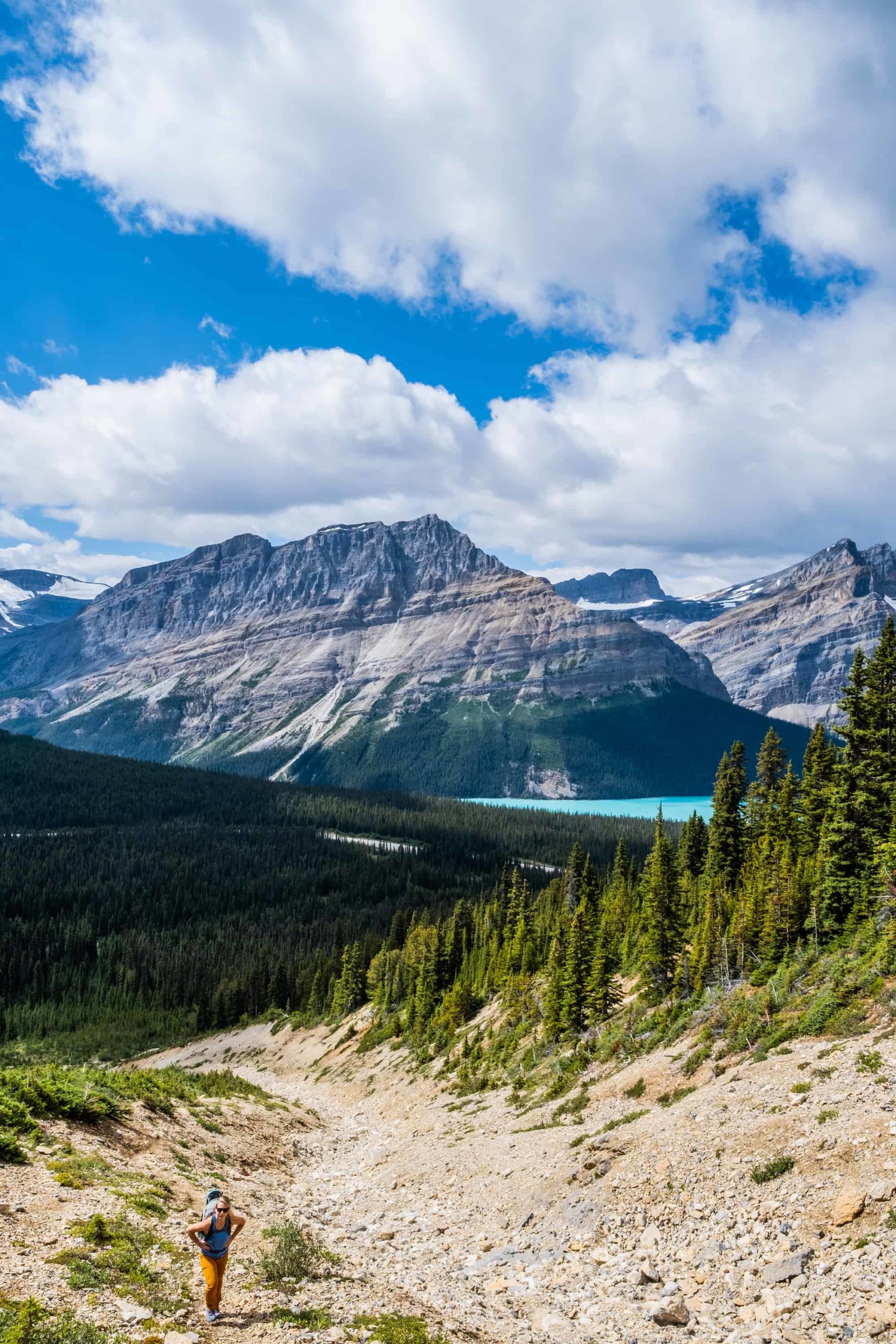 the start of the observation peak hike