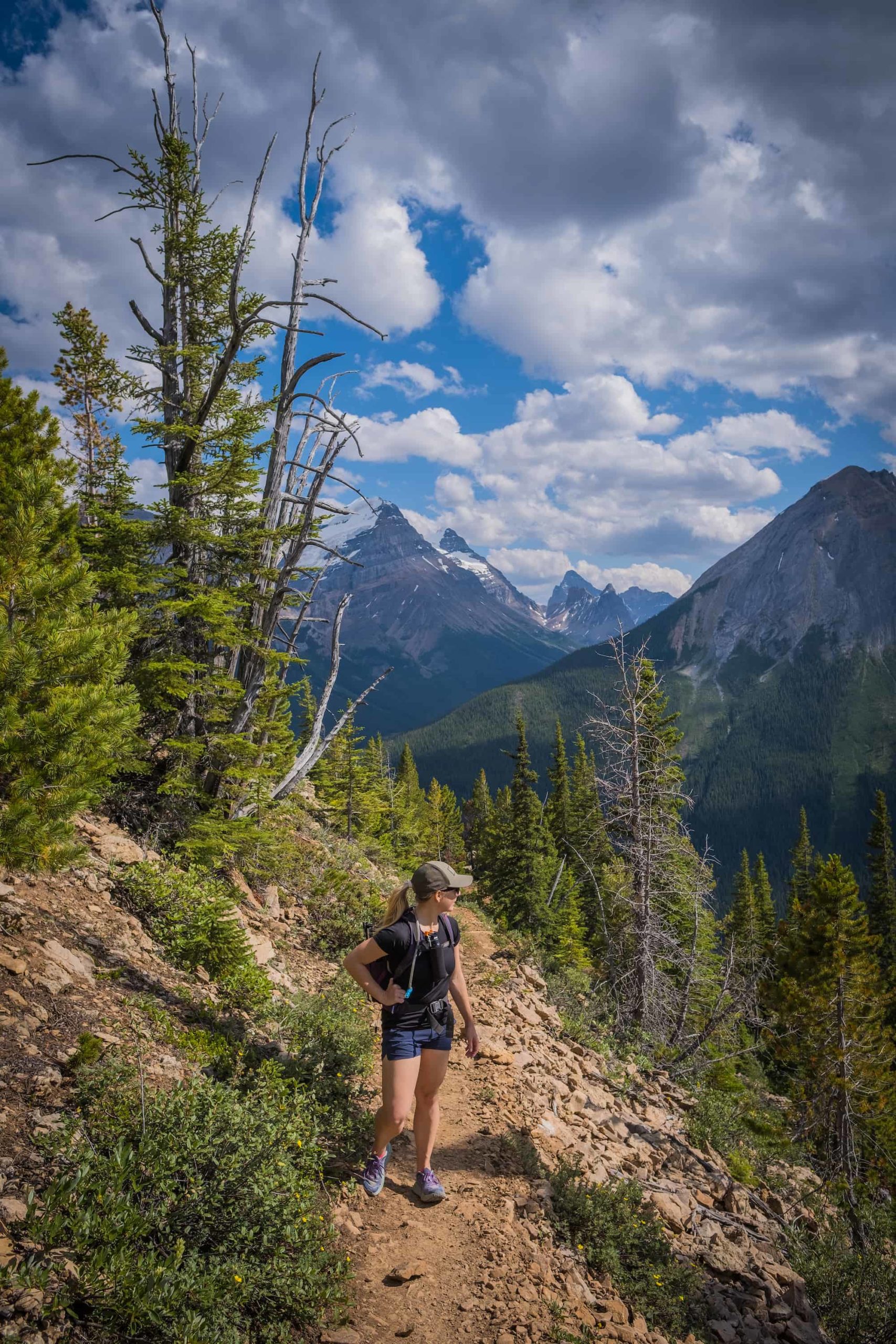 Treeline Paget Peak