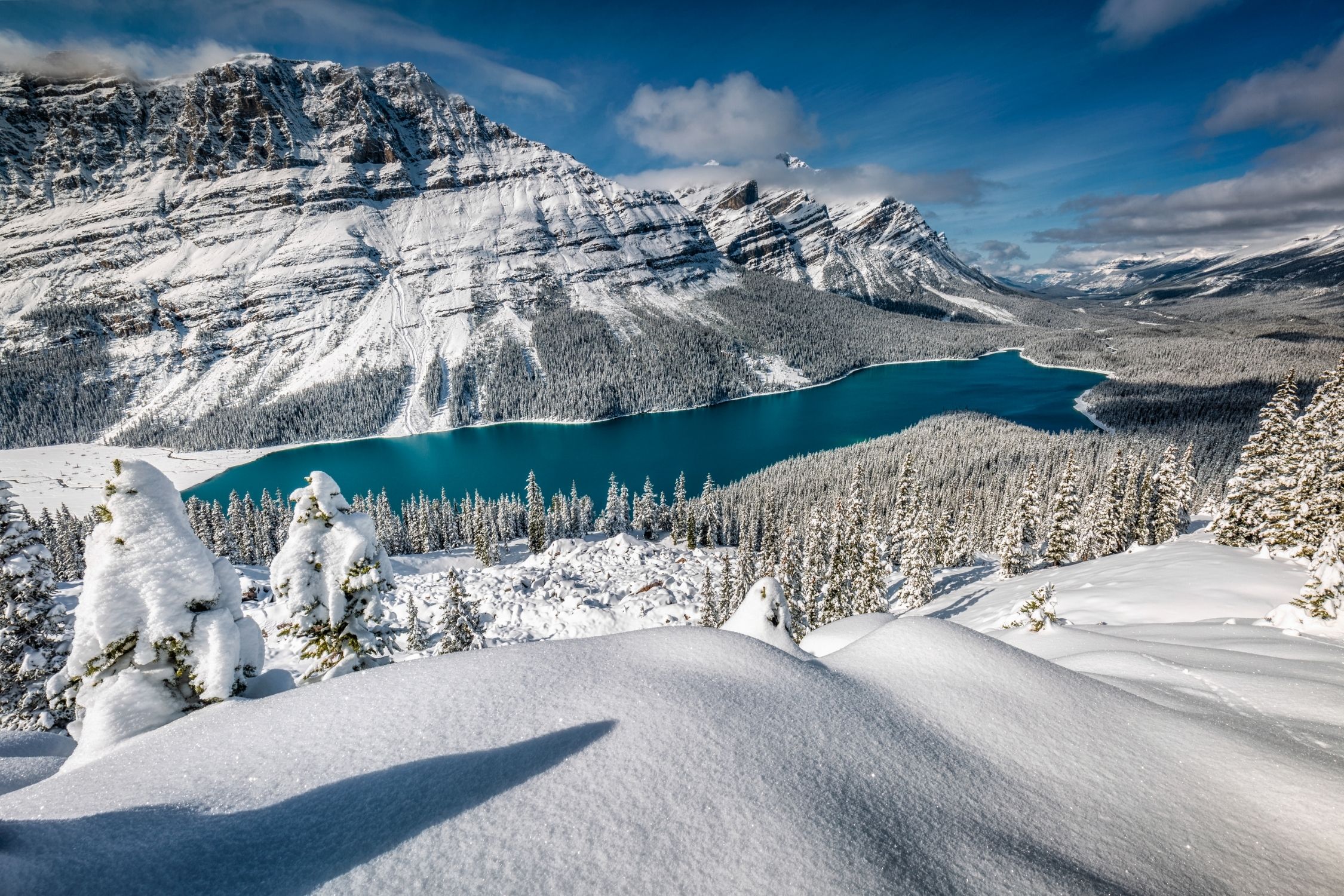 Peyto Lake in Snow Winter