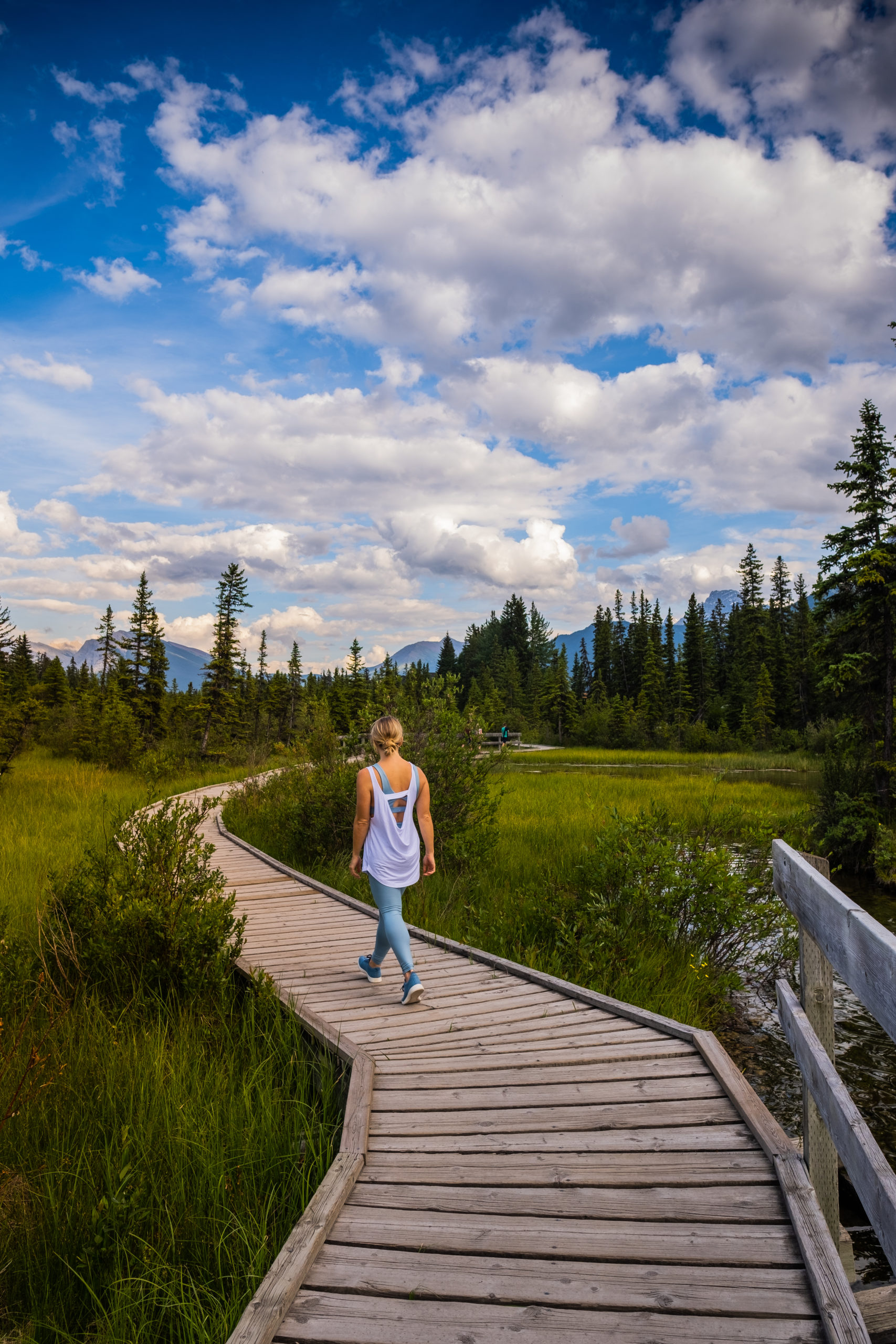 policemens creek boardwalk