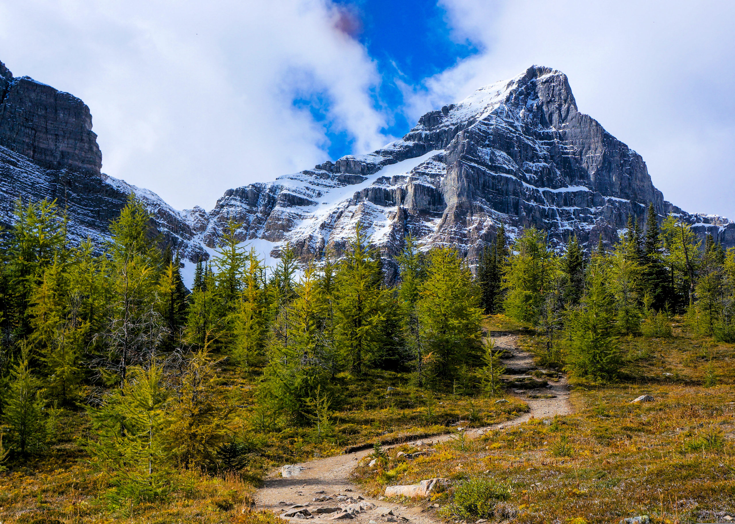 Saddleback Pass Lake Louise Hikes