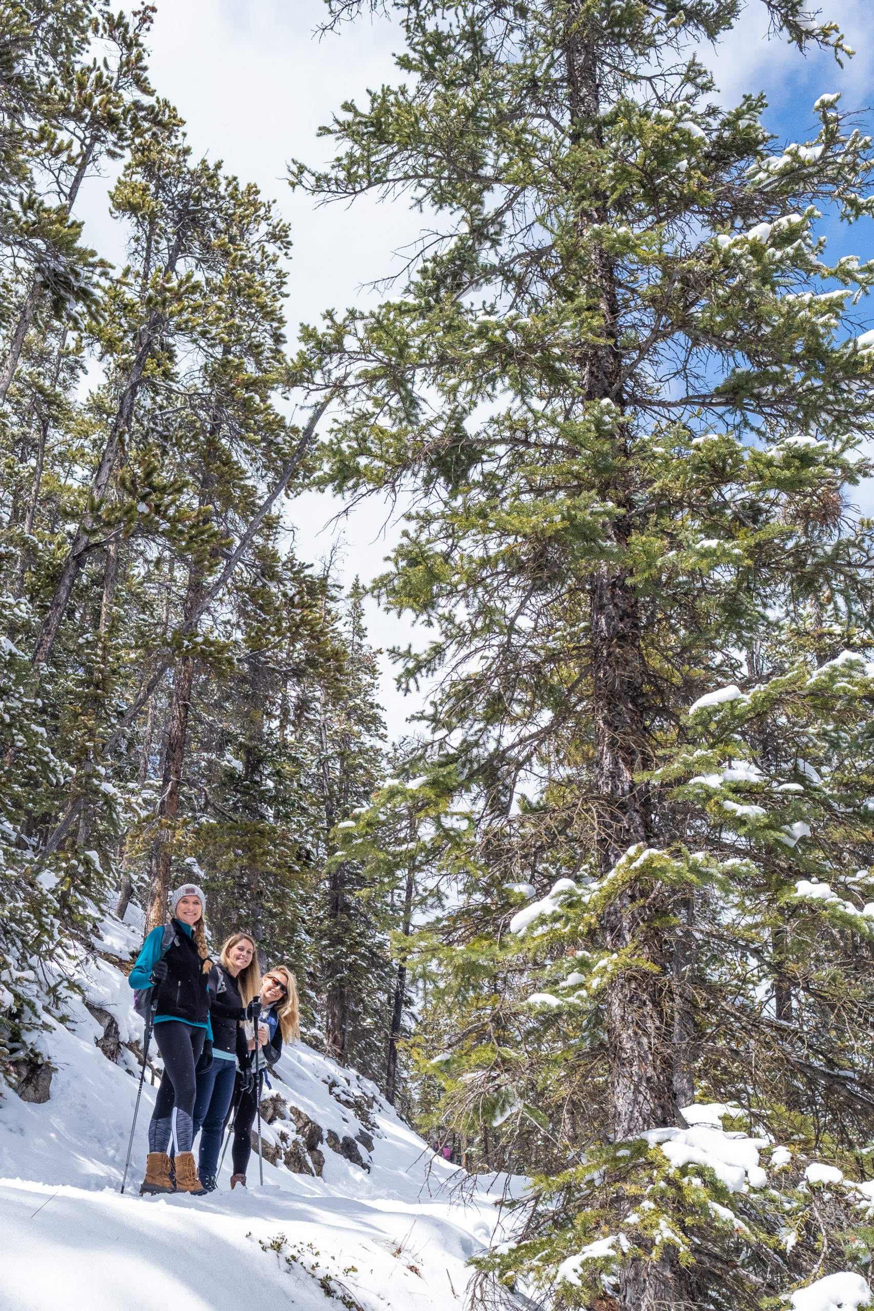 Hiking Sulphur Mountain in early May - plenty of snow still