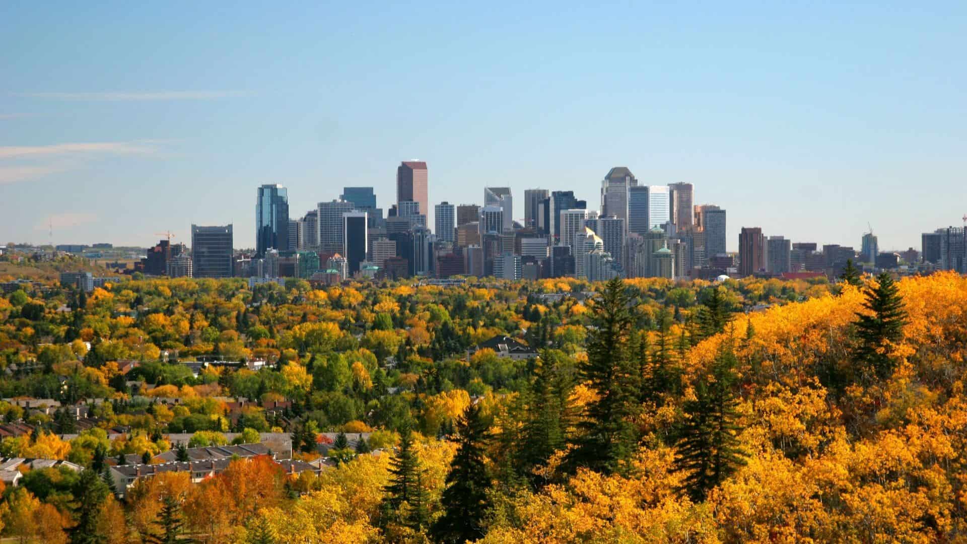 Calgary during the fall