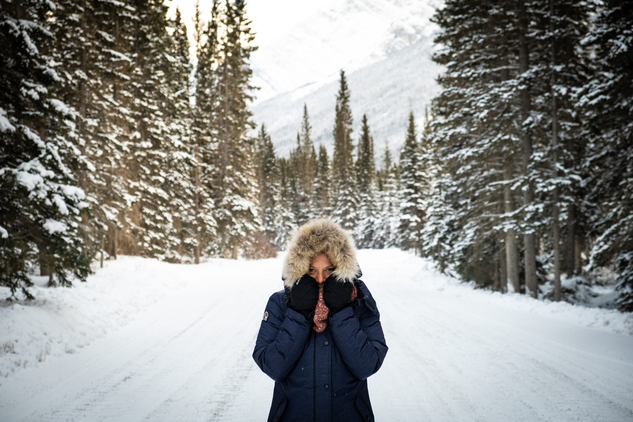 When Is The BEST Time To Visit Banff Locals Reveal All   Winter In Banff Canada 2048x1365 