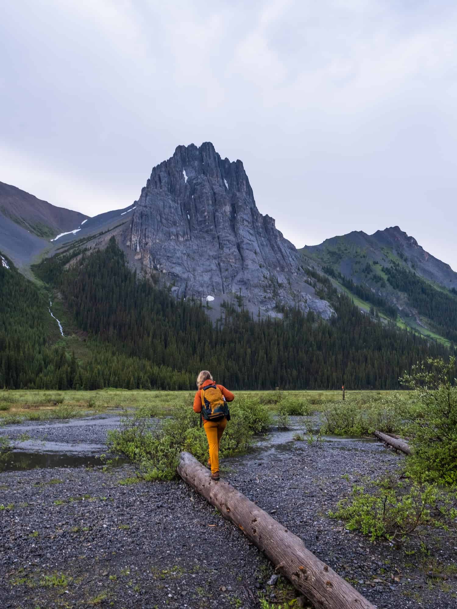 Burstall Pass Hike Natasha on Log