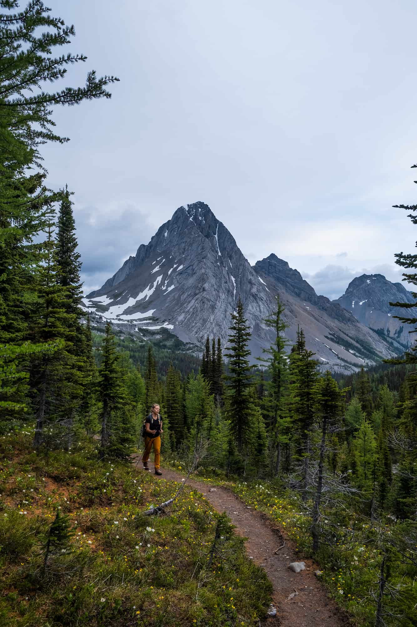 Burstall Pass Hike