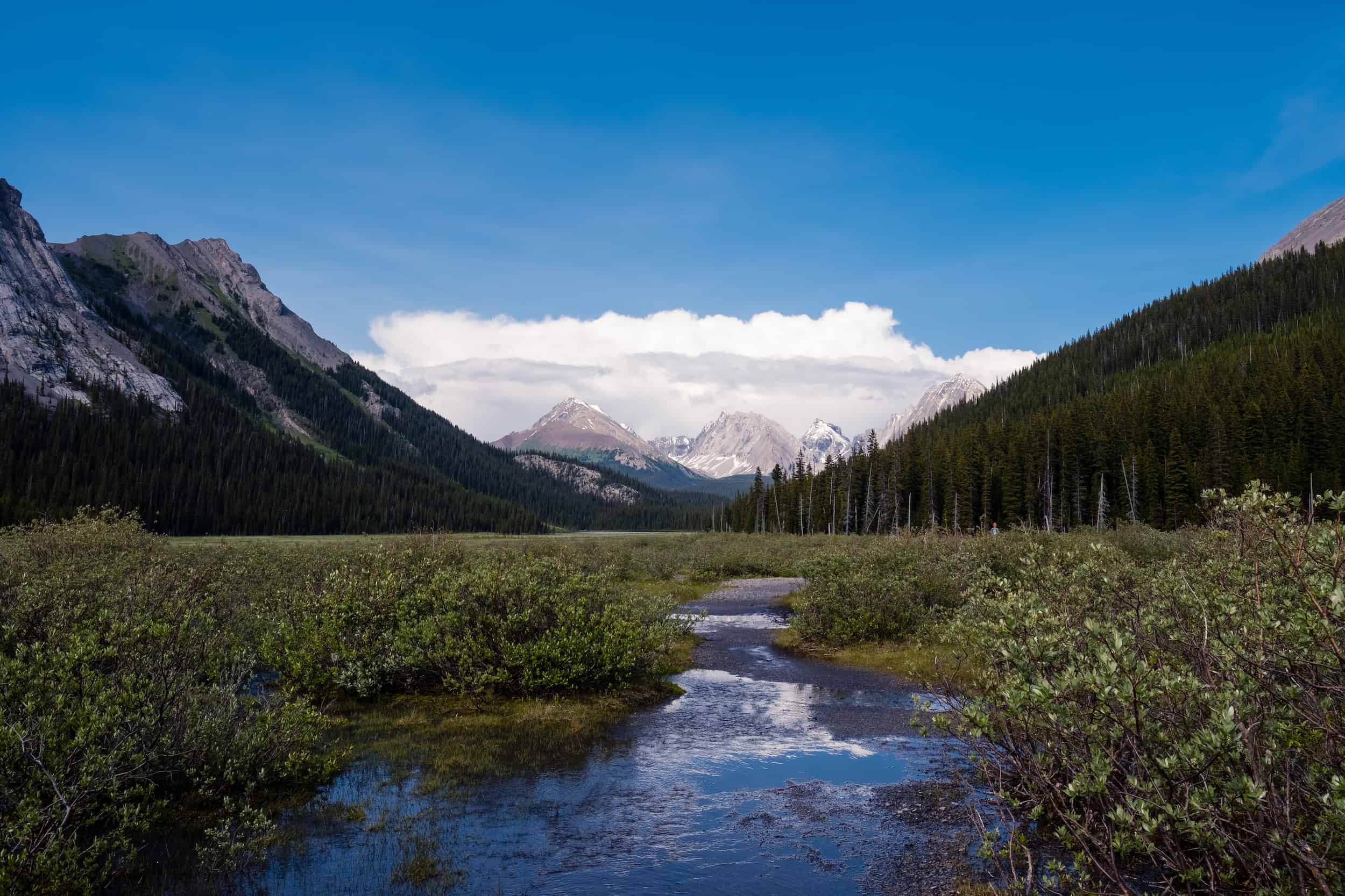 Burstall Pass Scenery