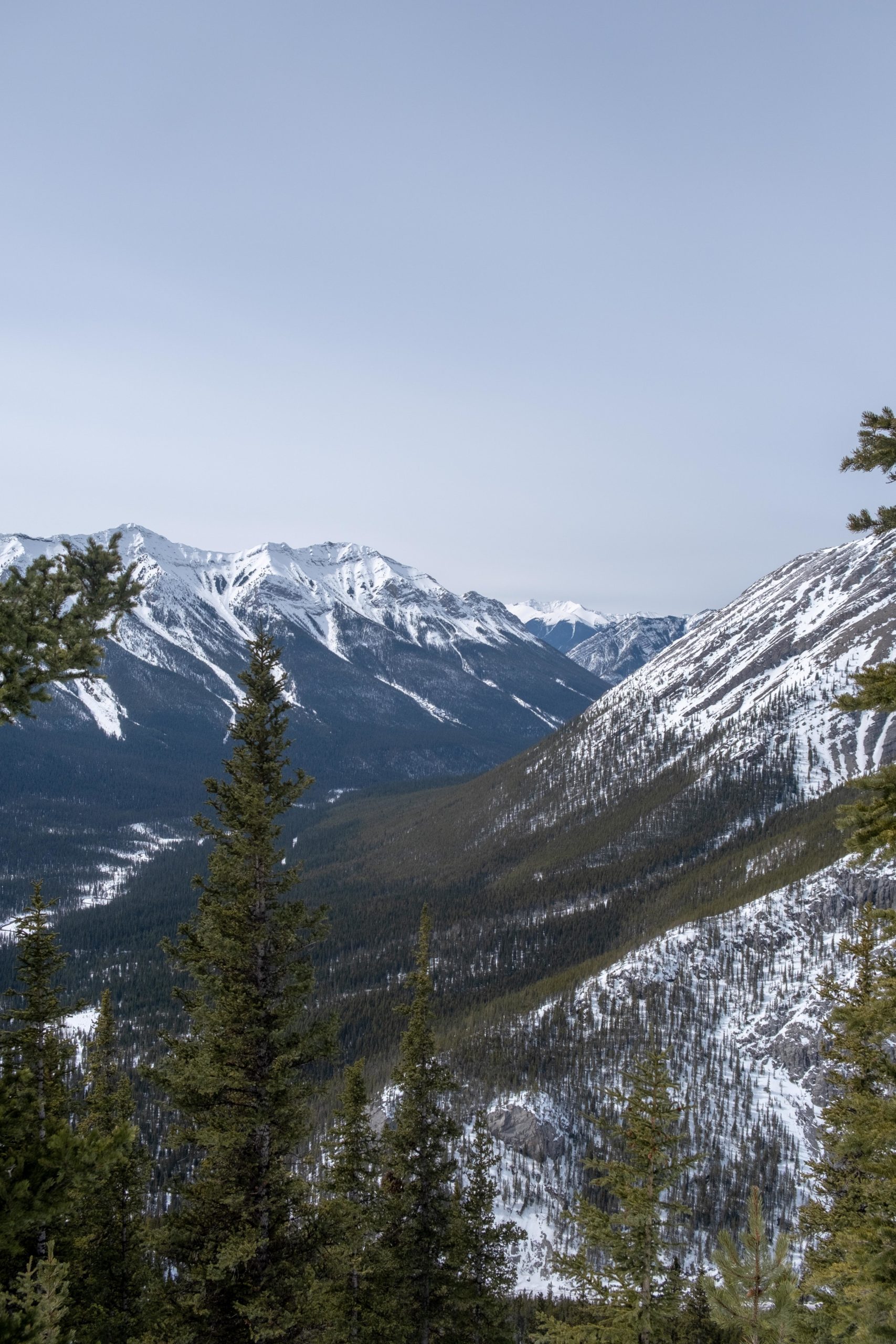 Ha Ling Peak Spray Valley Views