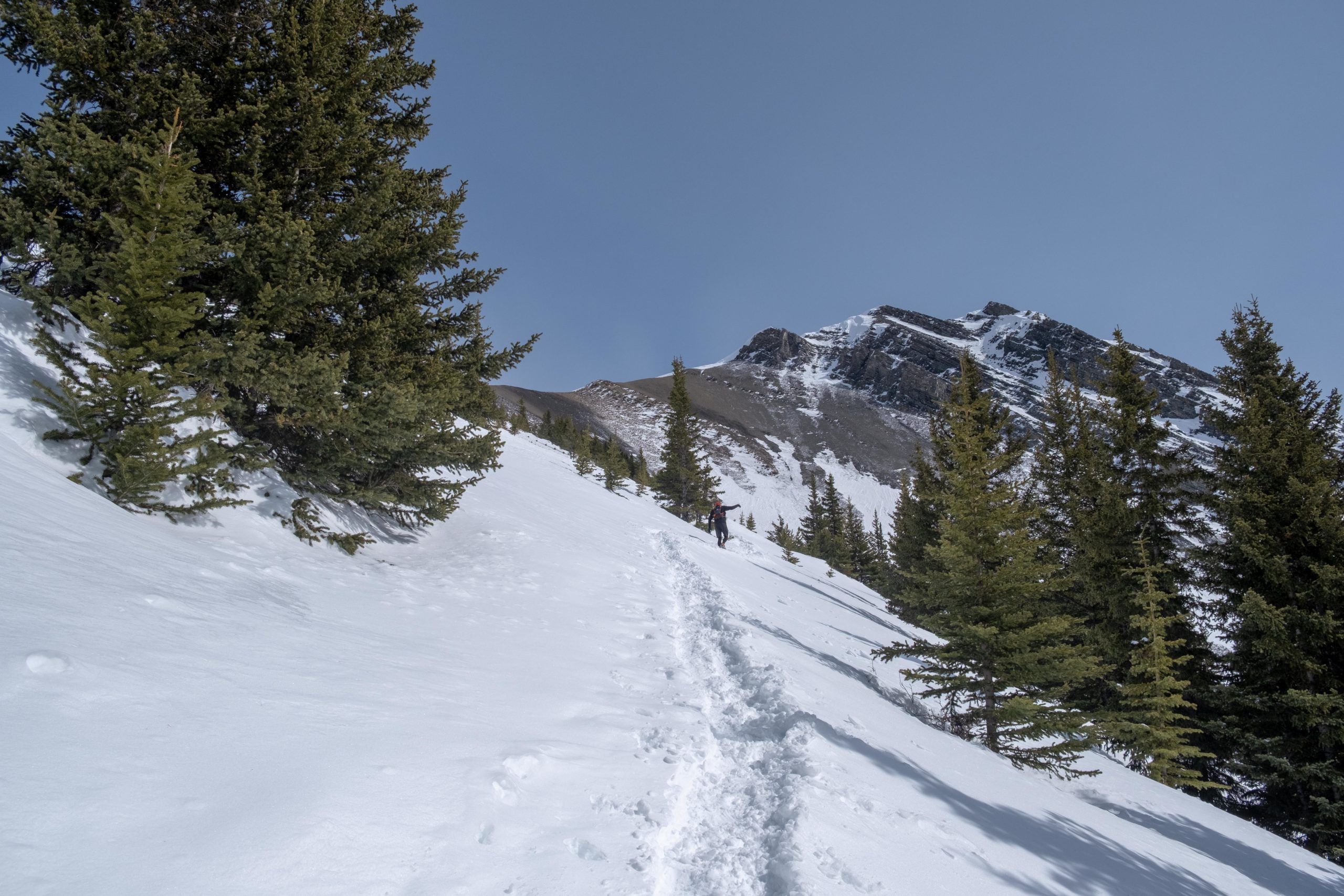 Ha Ling Peak Hike Saddle Approach