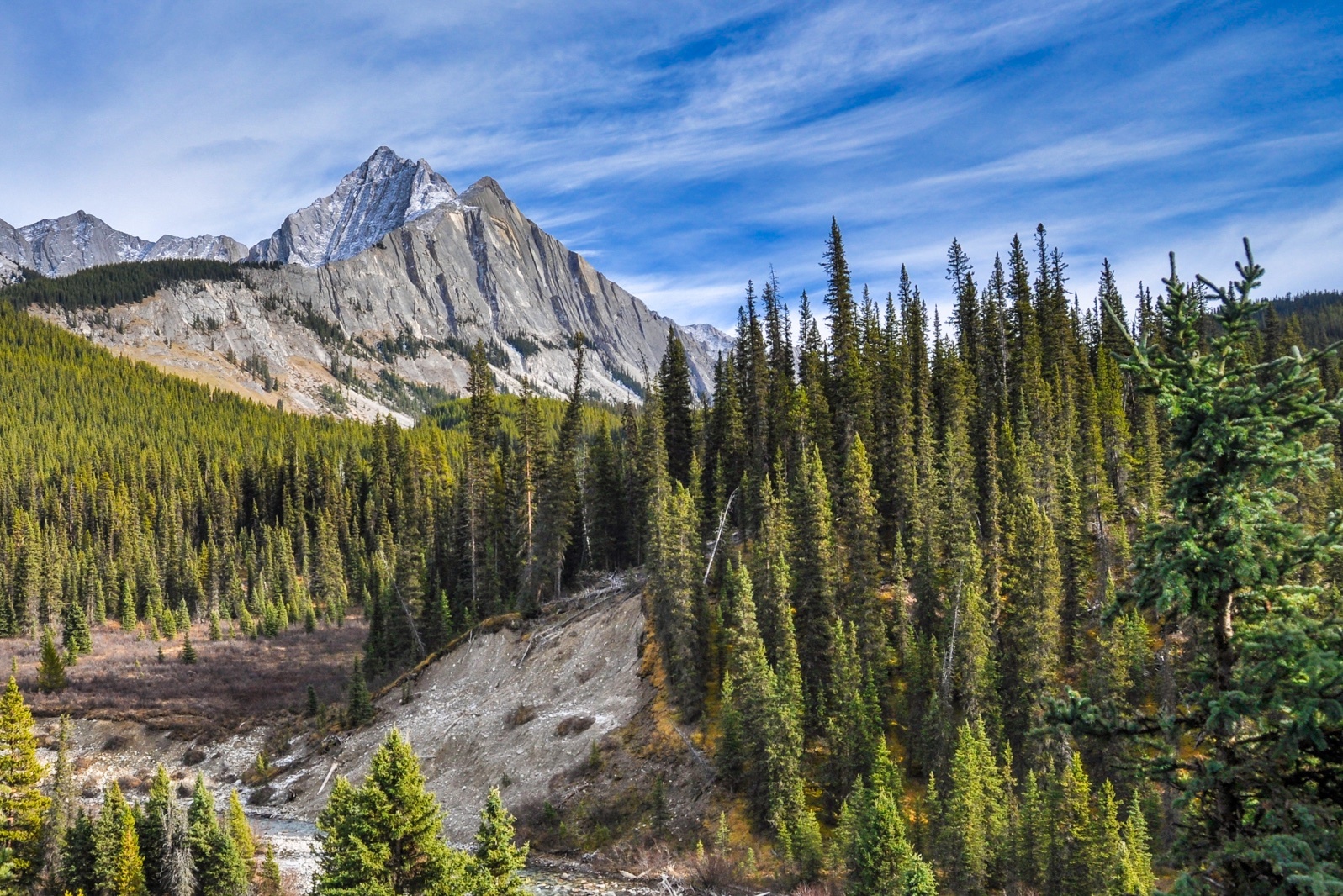 Johnston Canyon Moose Meadows