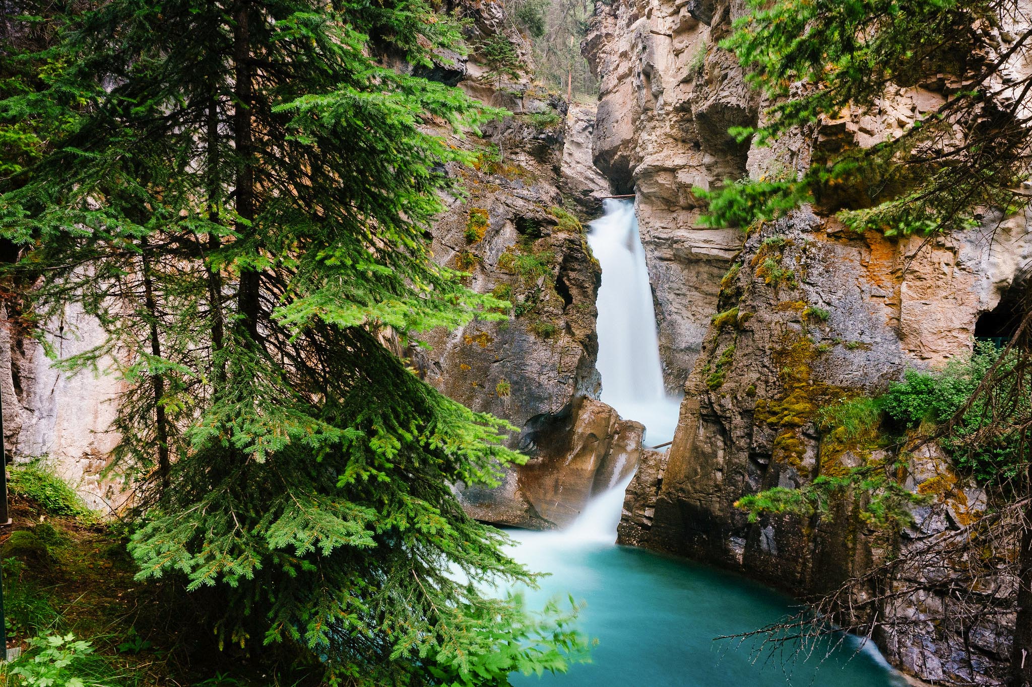 Johnston Canyon Landscape