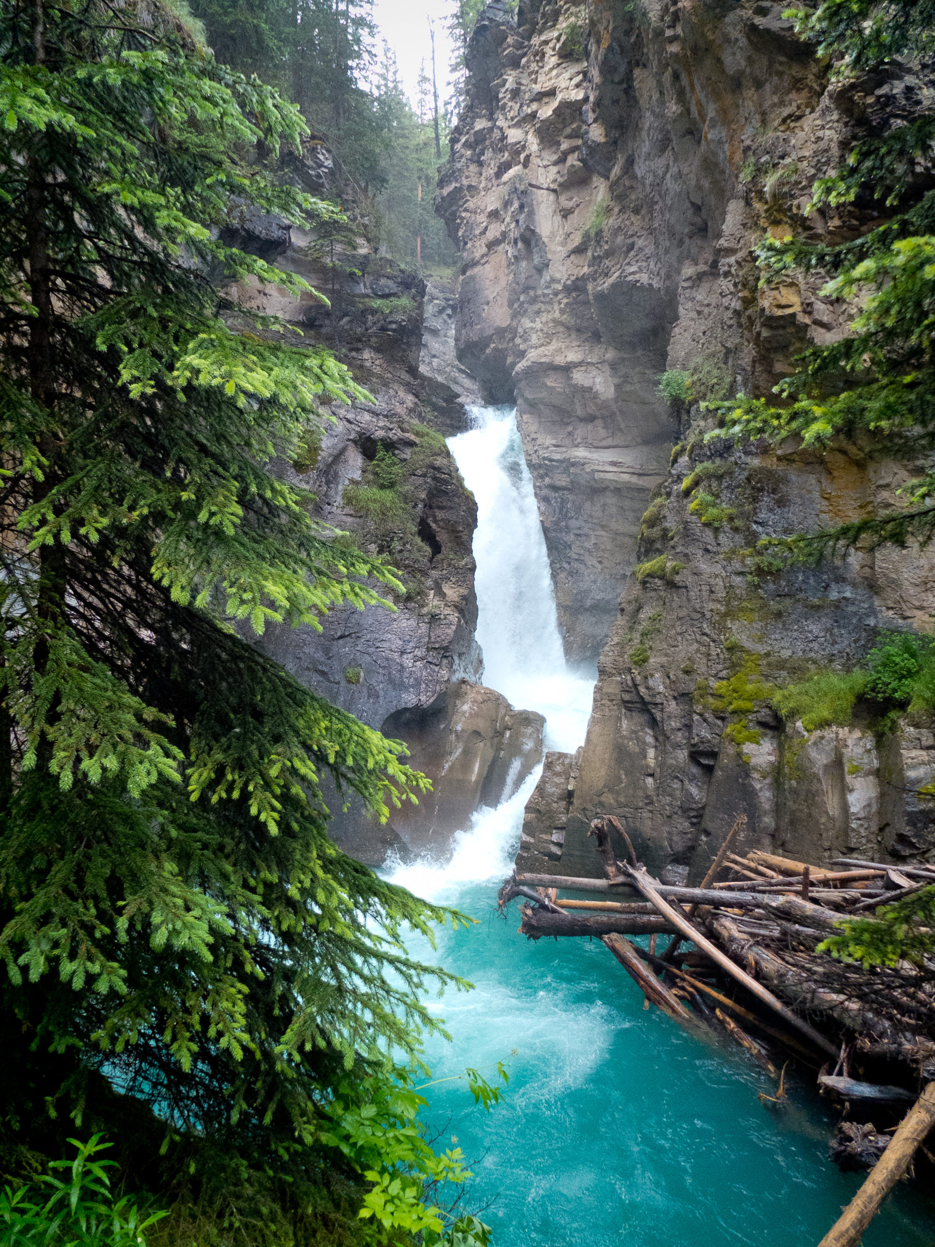 Johnston Canyon Lower Falls