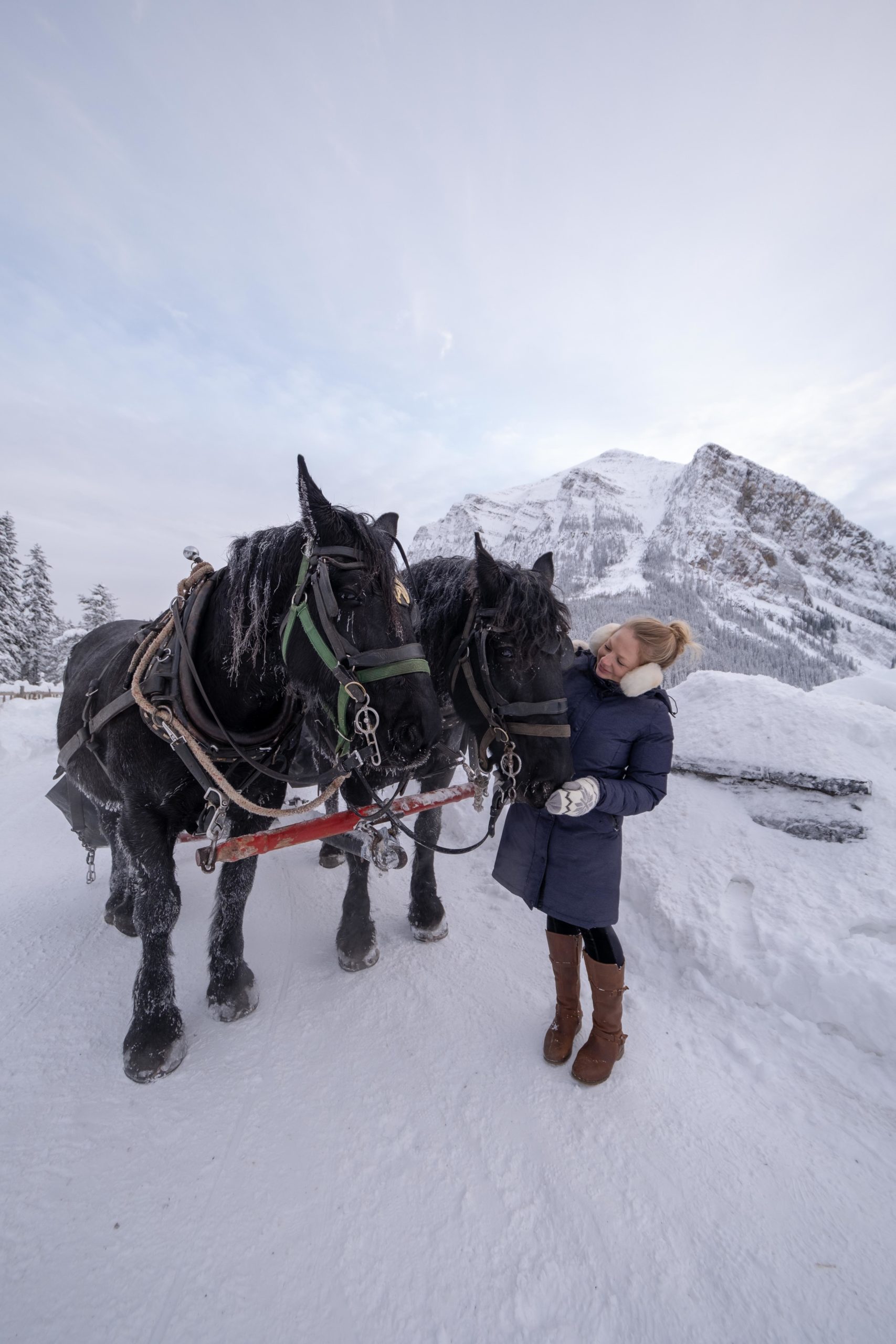 Lake Louise Horse Sleigh