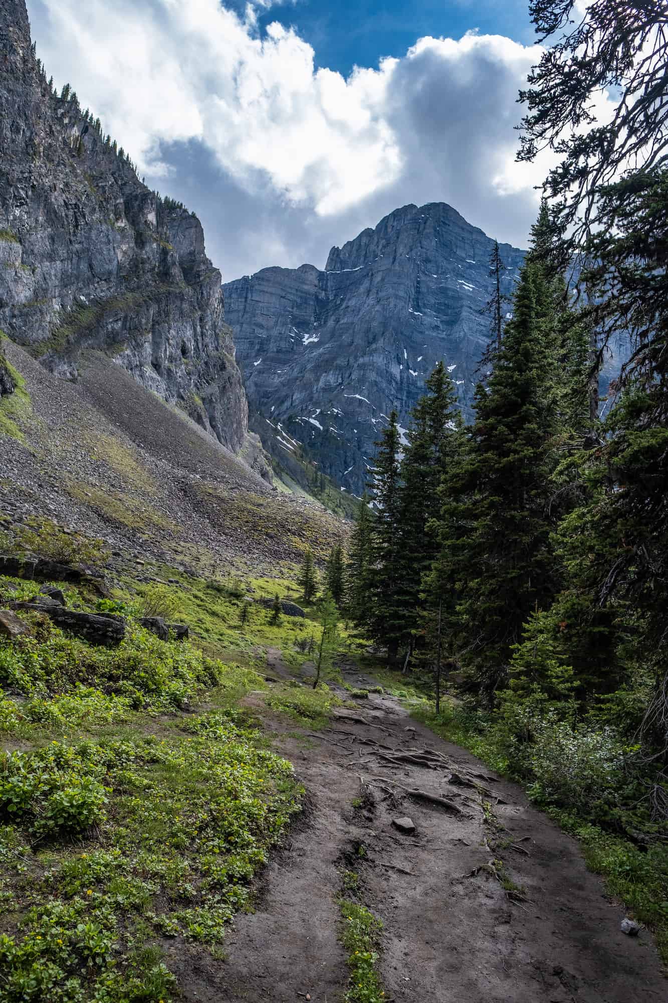 Trail Around Rawson Lake