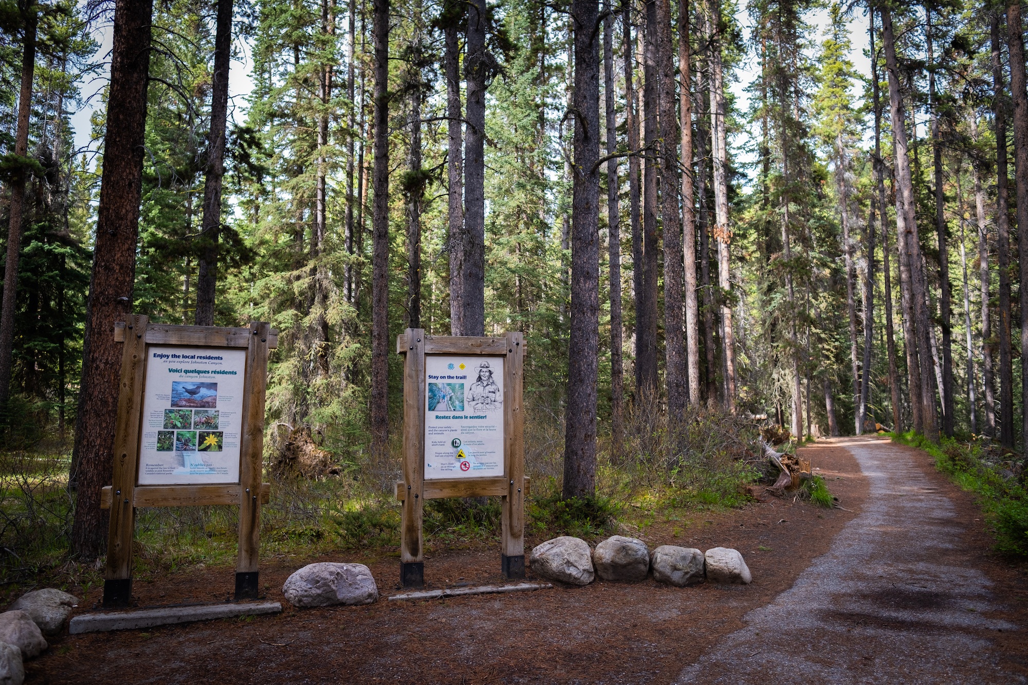 100 Meters Down The Johnston Canyon Trail