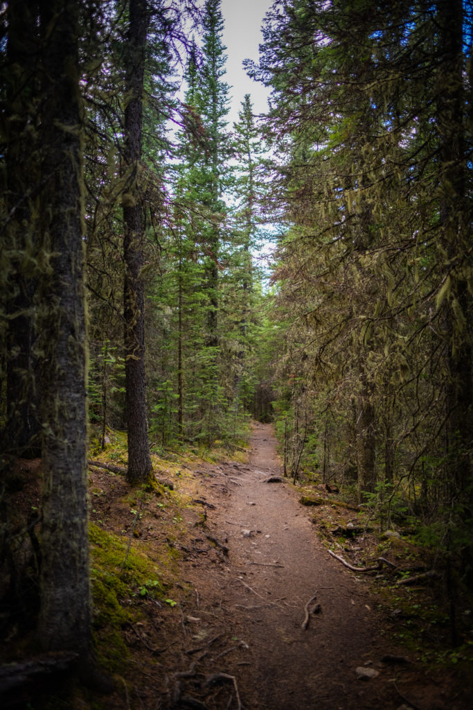 Barrier Lake Hike