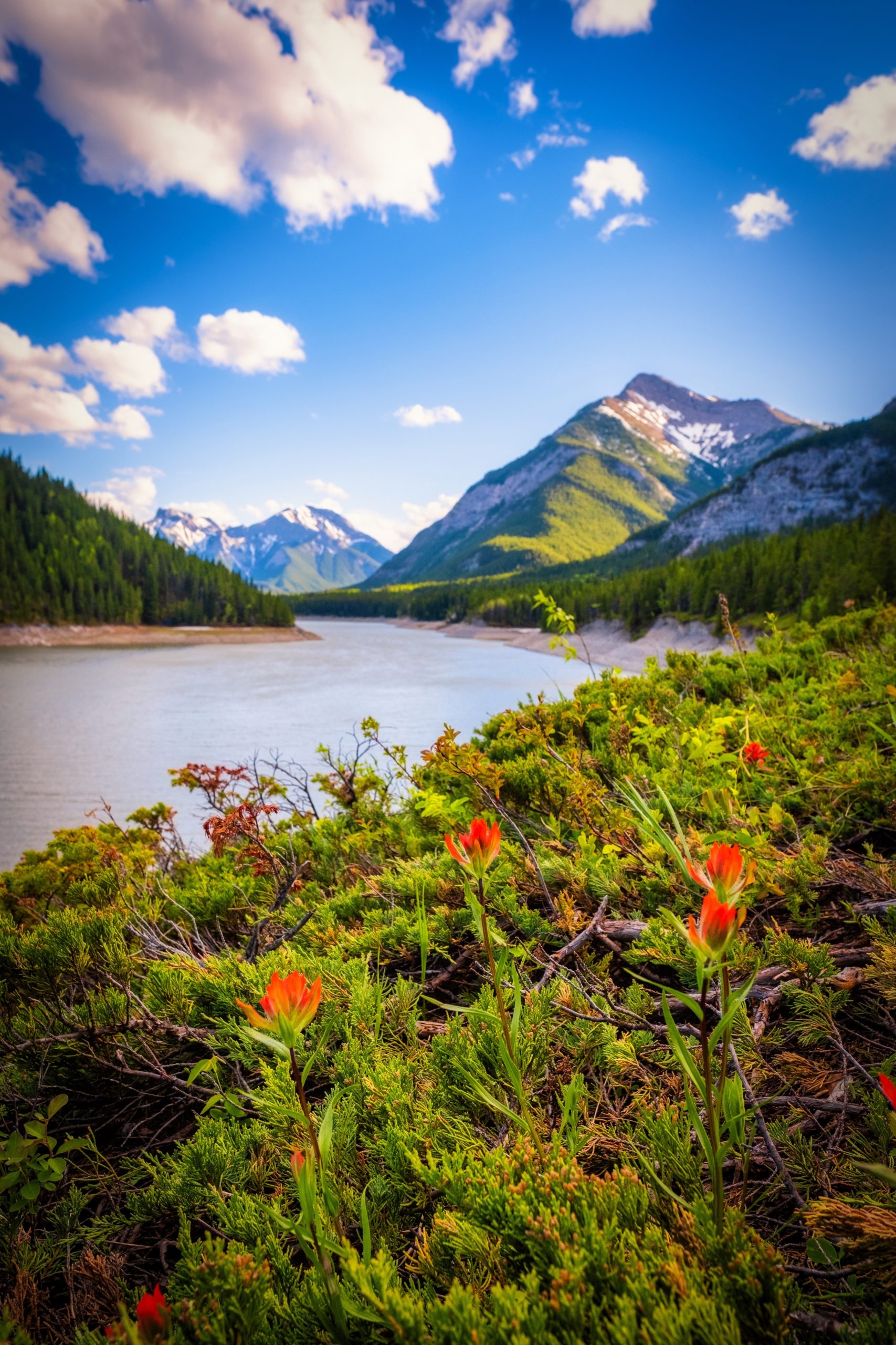 Barrier Lake in kananaskis