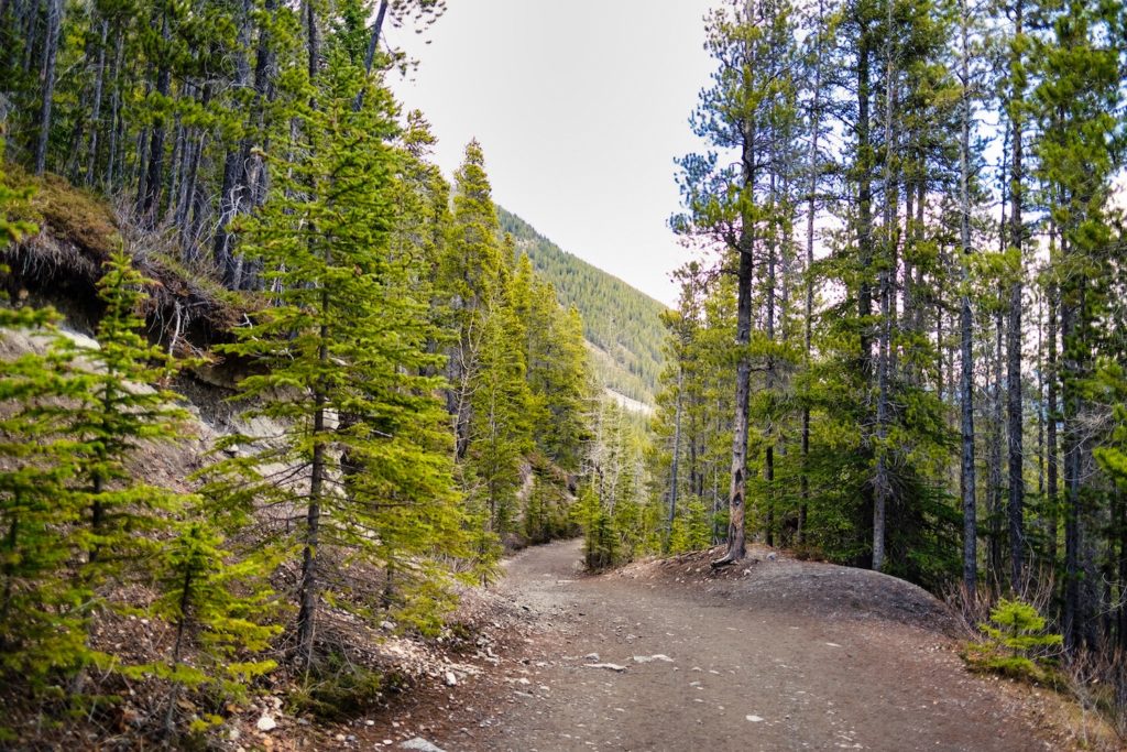 Grassi Lakes Hike