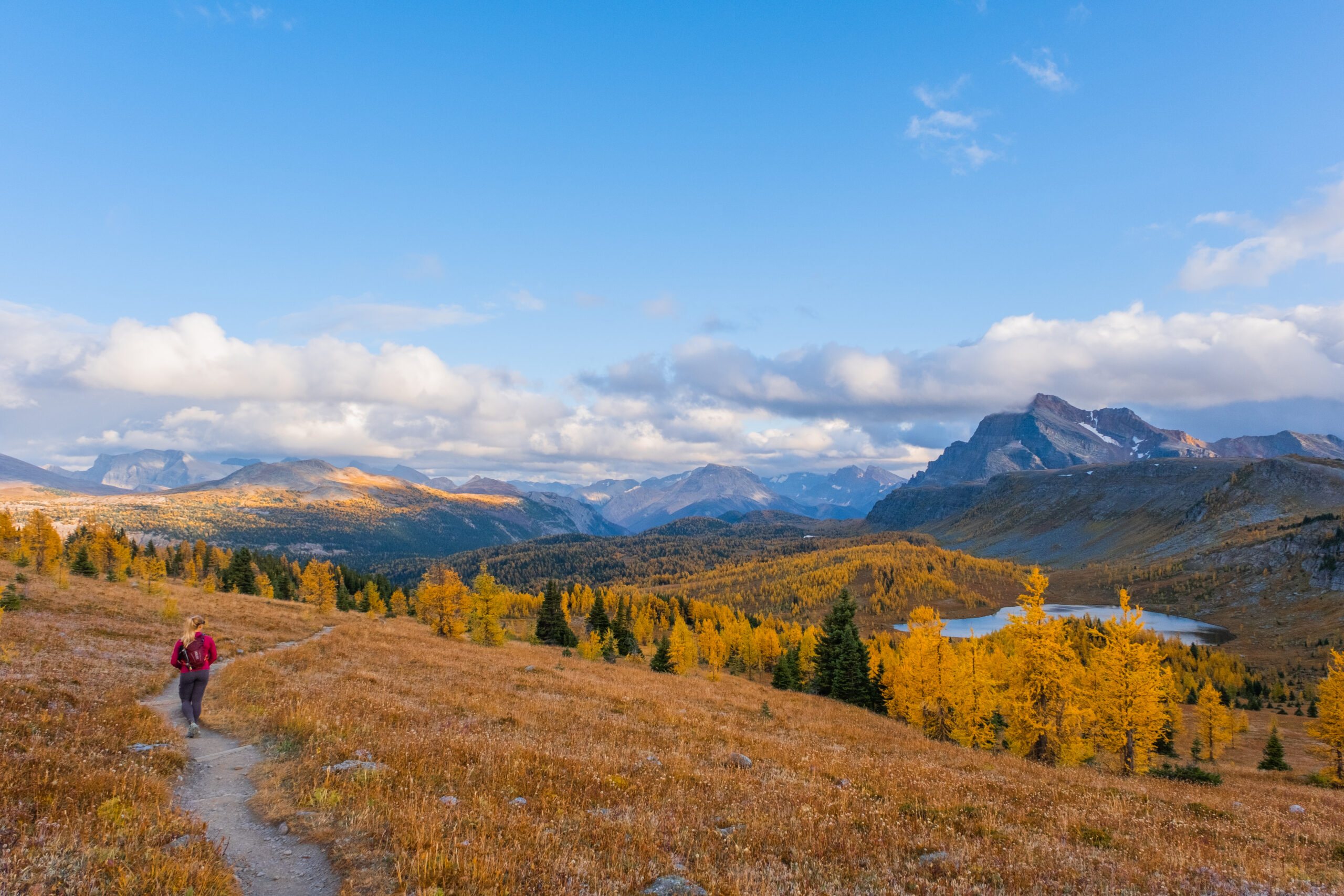 Healy Pass