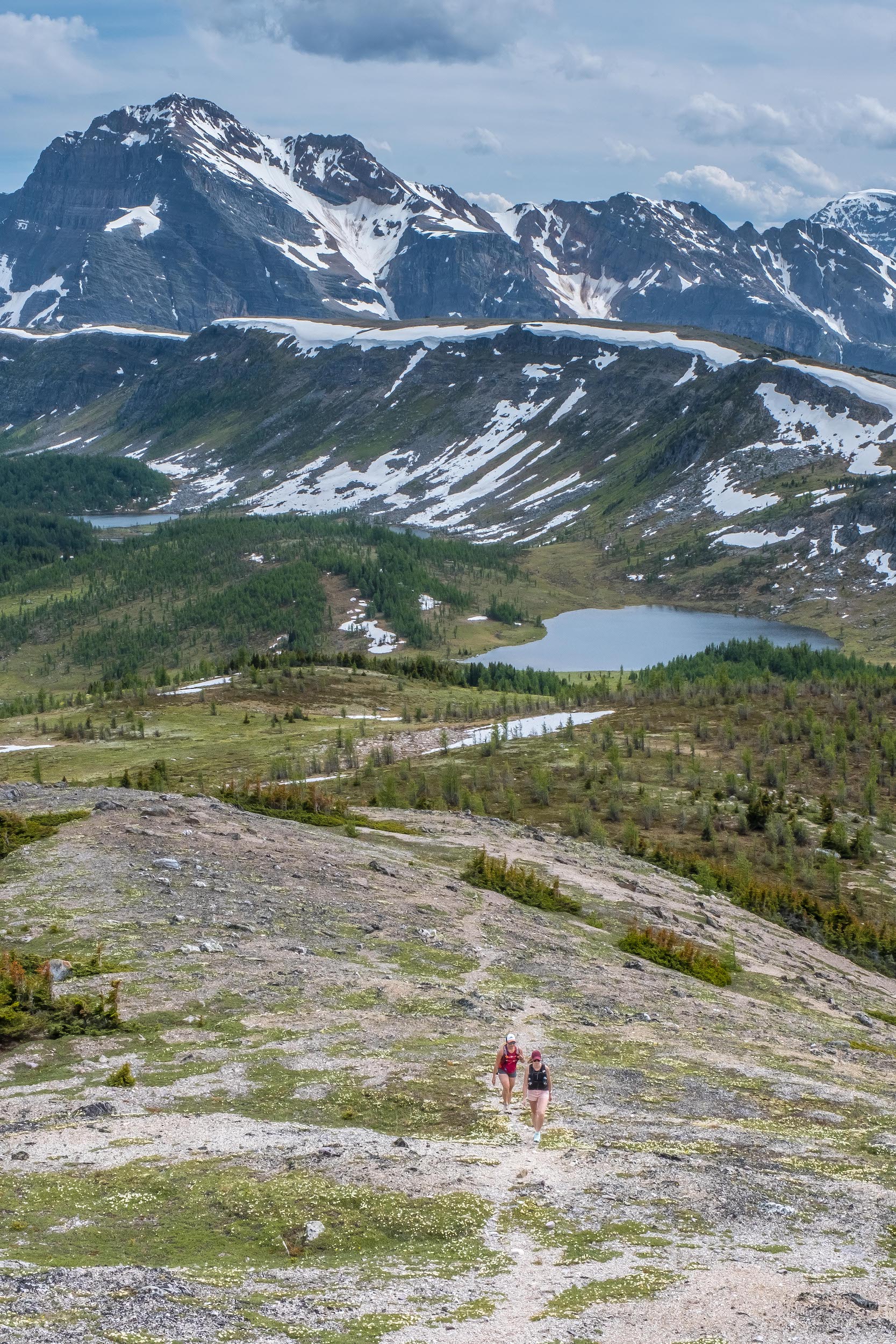 hiking healy pass