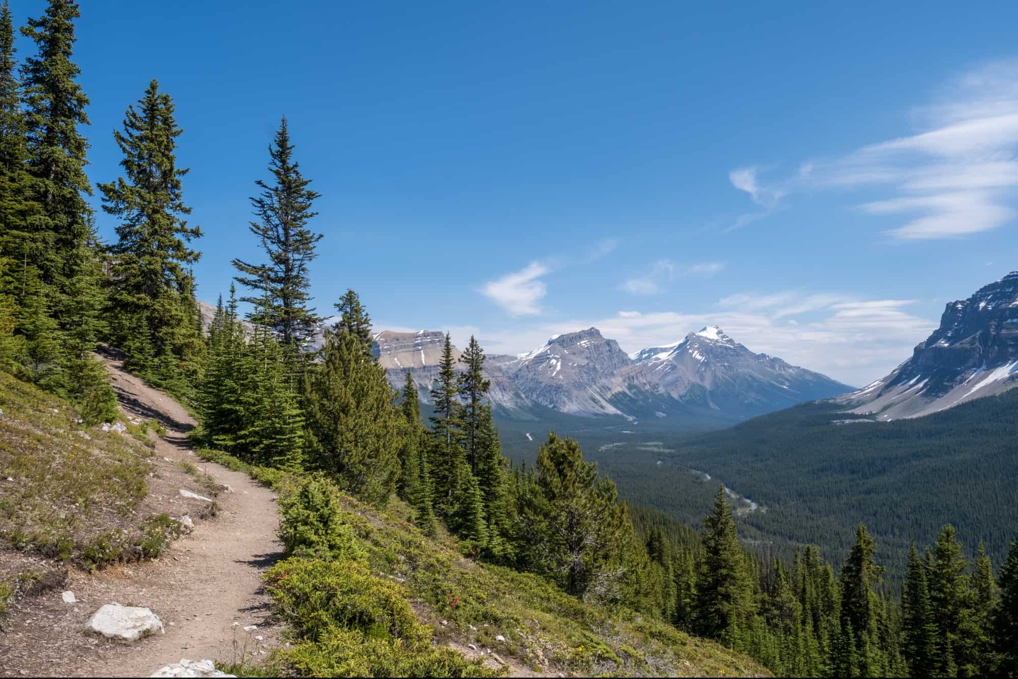 Helen Lake Hike Trail