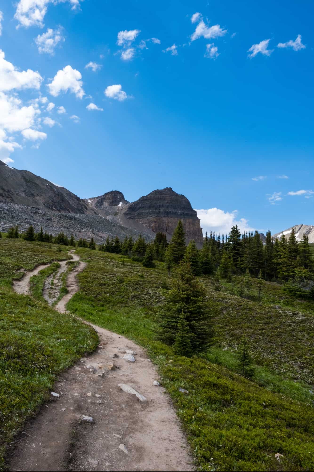 Helen Lake Trail int the alpine