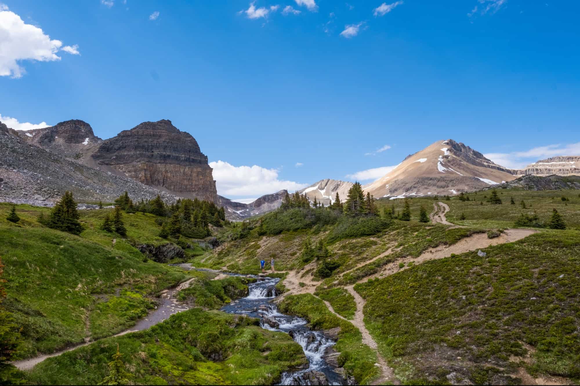 Helen Lake Alpine Meadow