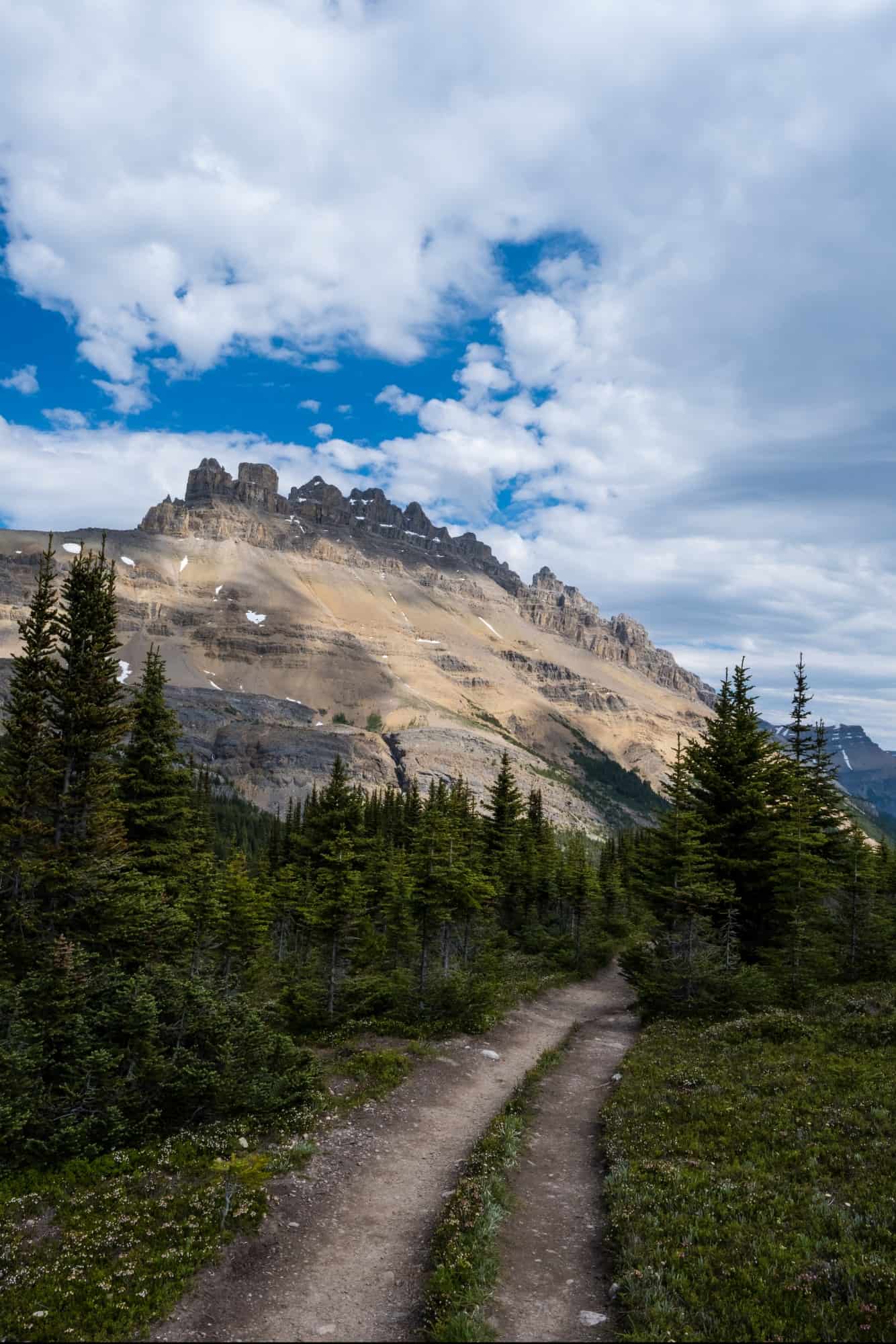 Helen Lake Trail With Dynamite Peak Above