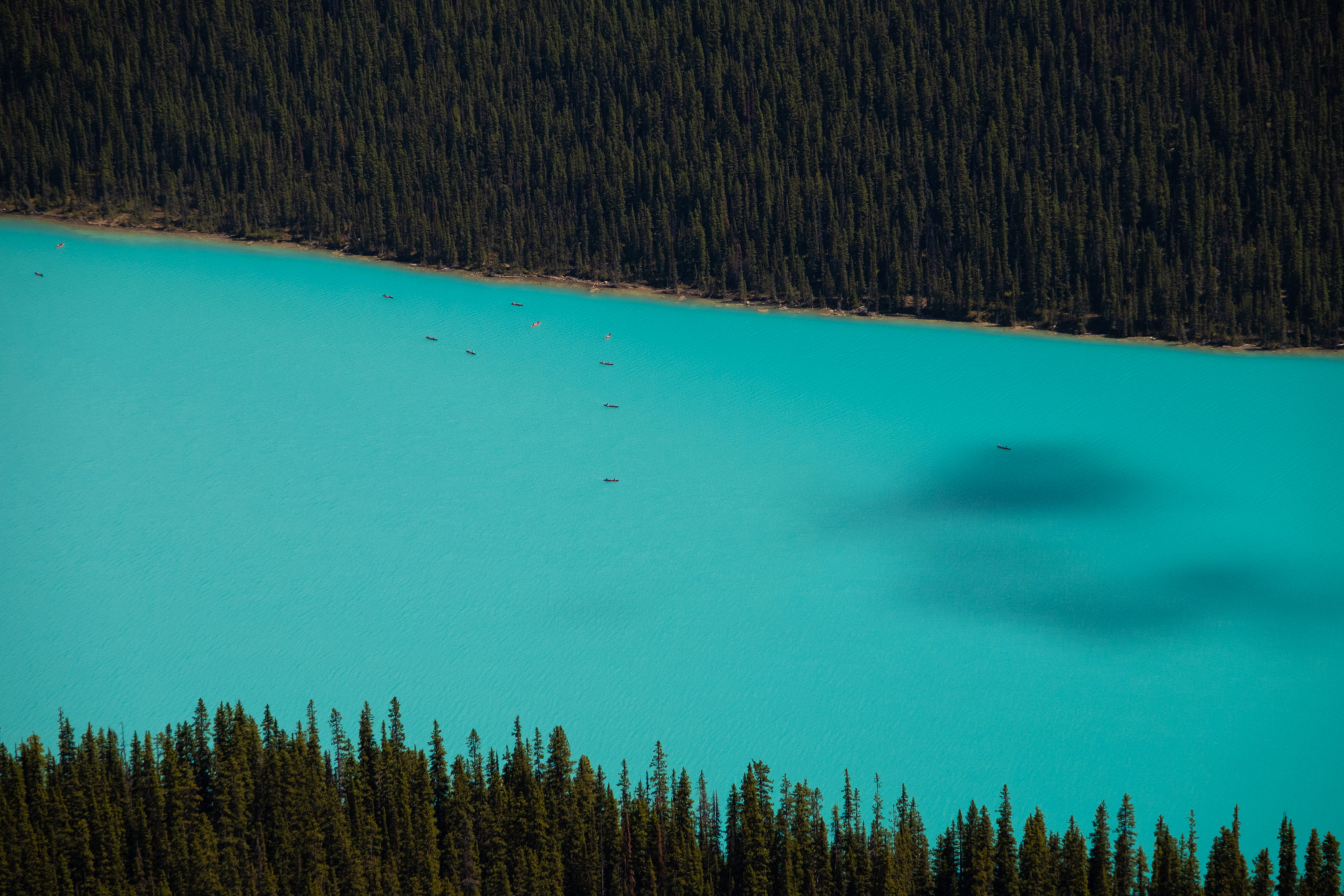 canoes on lake louise