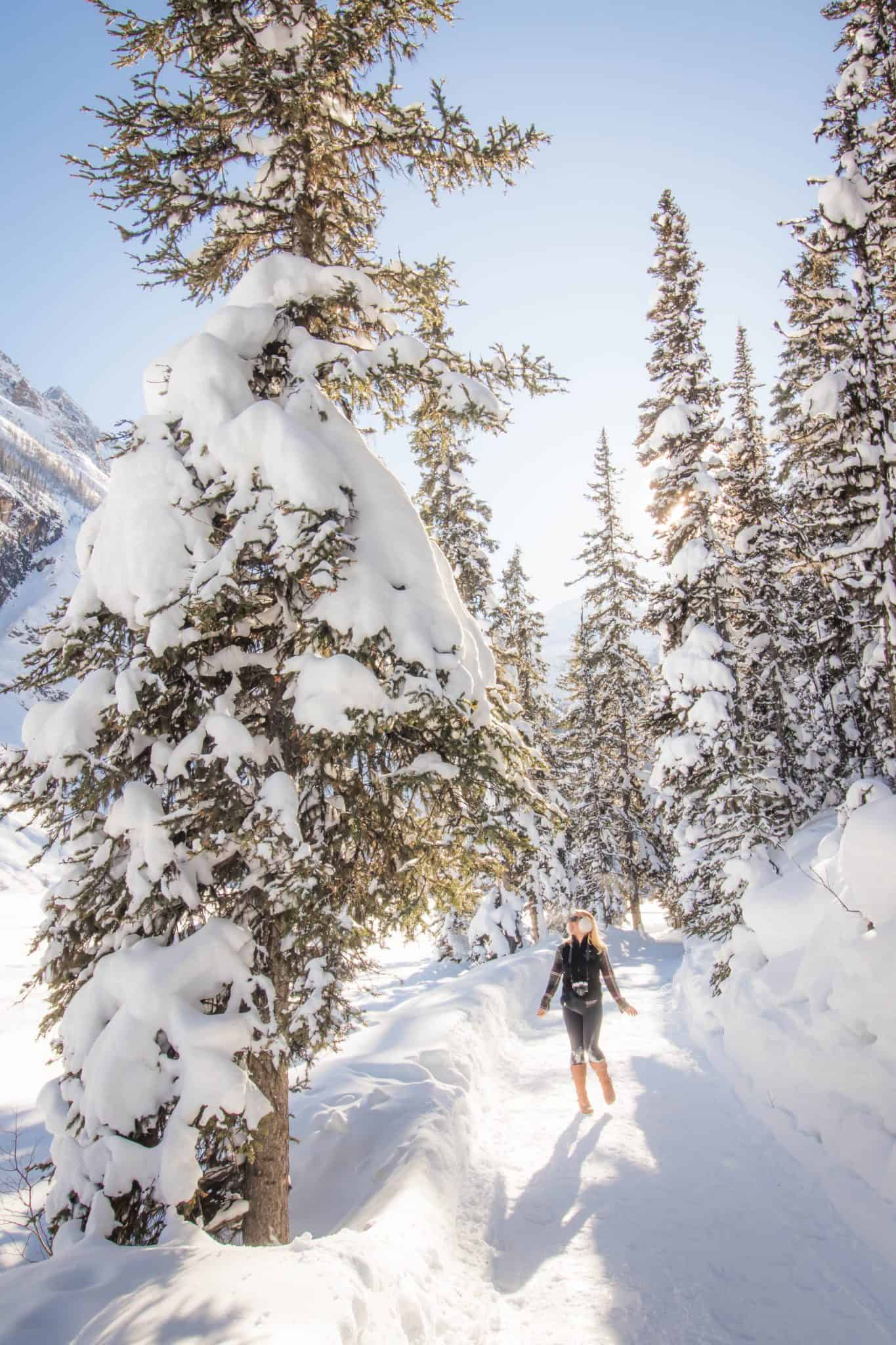 Lake Louise in February