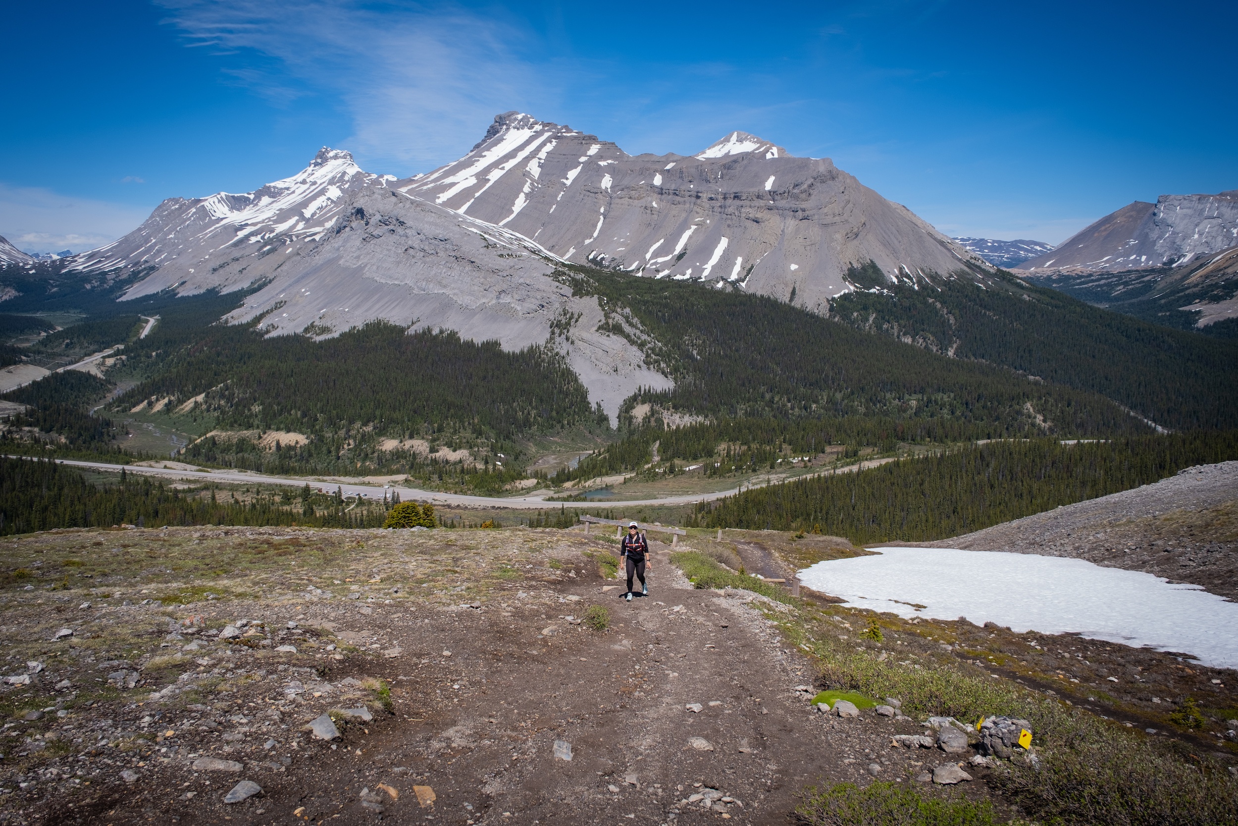 How to Hike Parker Ridge Trail On the Icefields Parkway - The Banff Blog