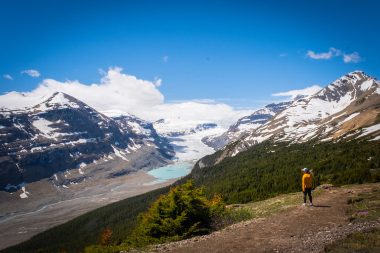 Parker Ridge Hike on the Icefields Parkway