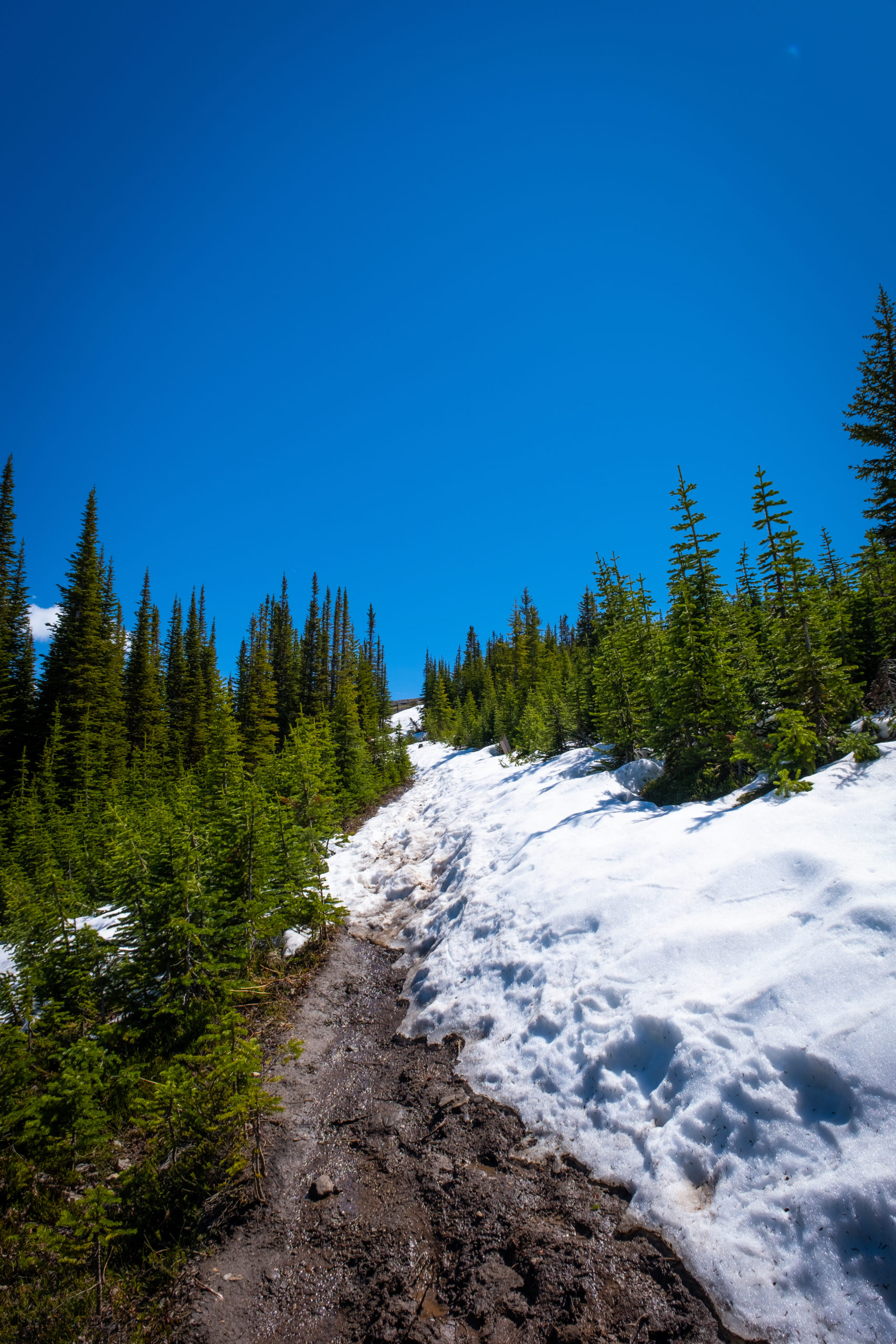 Parker Ridge trail Hike