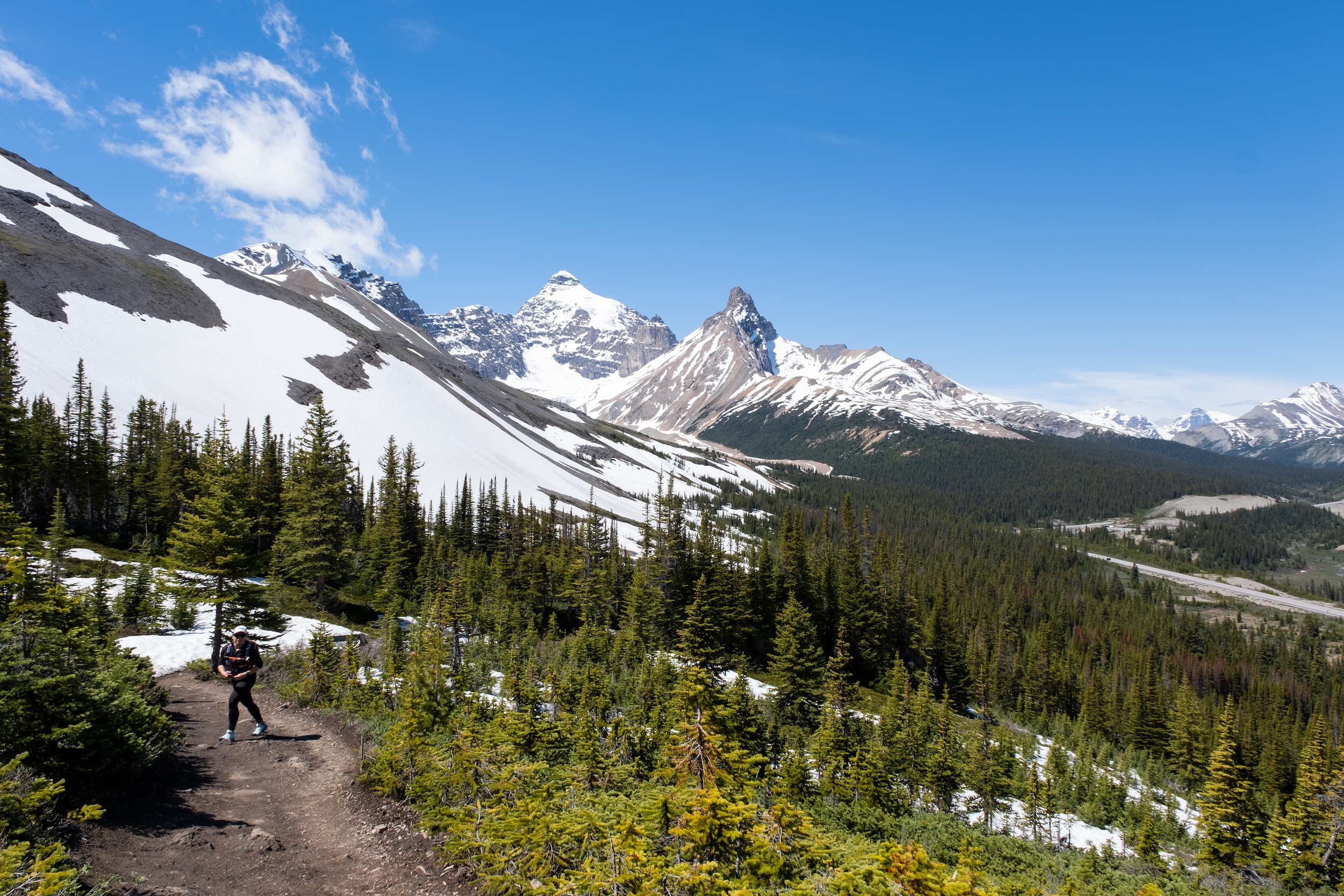 Hiking Up Parker Ridge In Banff