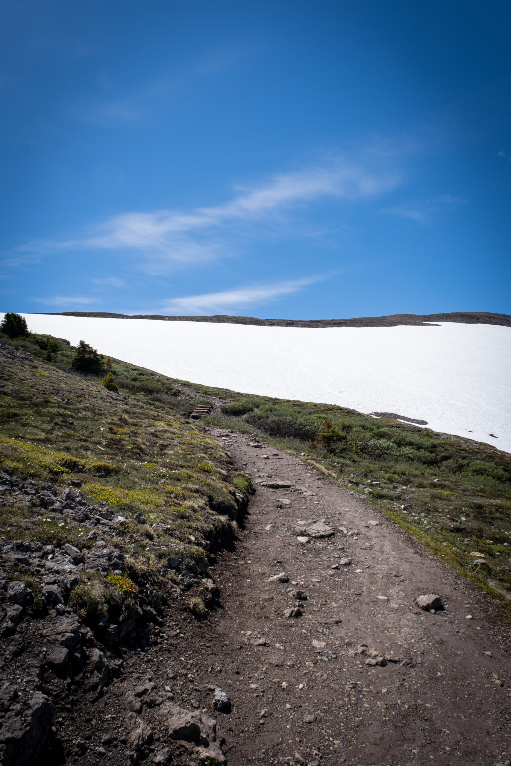 The trail up parker ridge