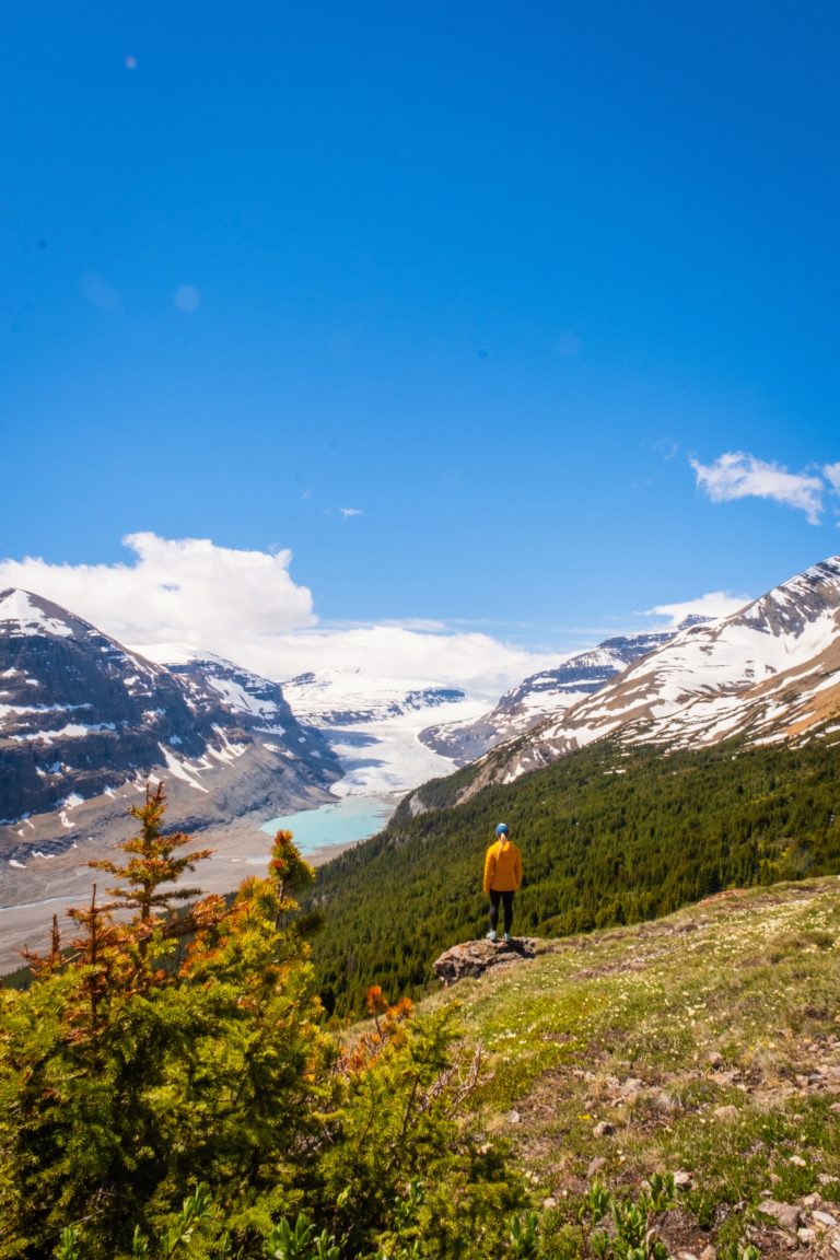 How to Hike Parker Ridge Trail On the Icefields Parkway