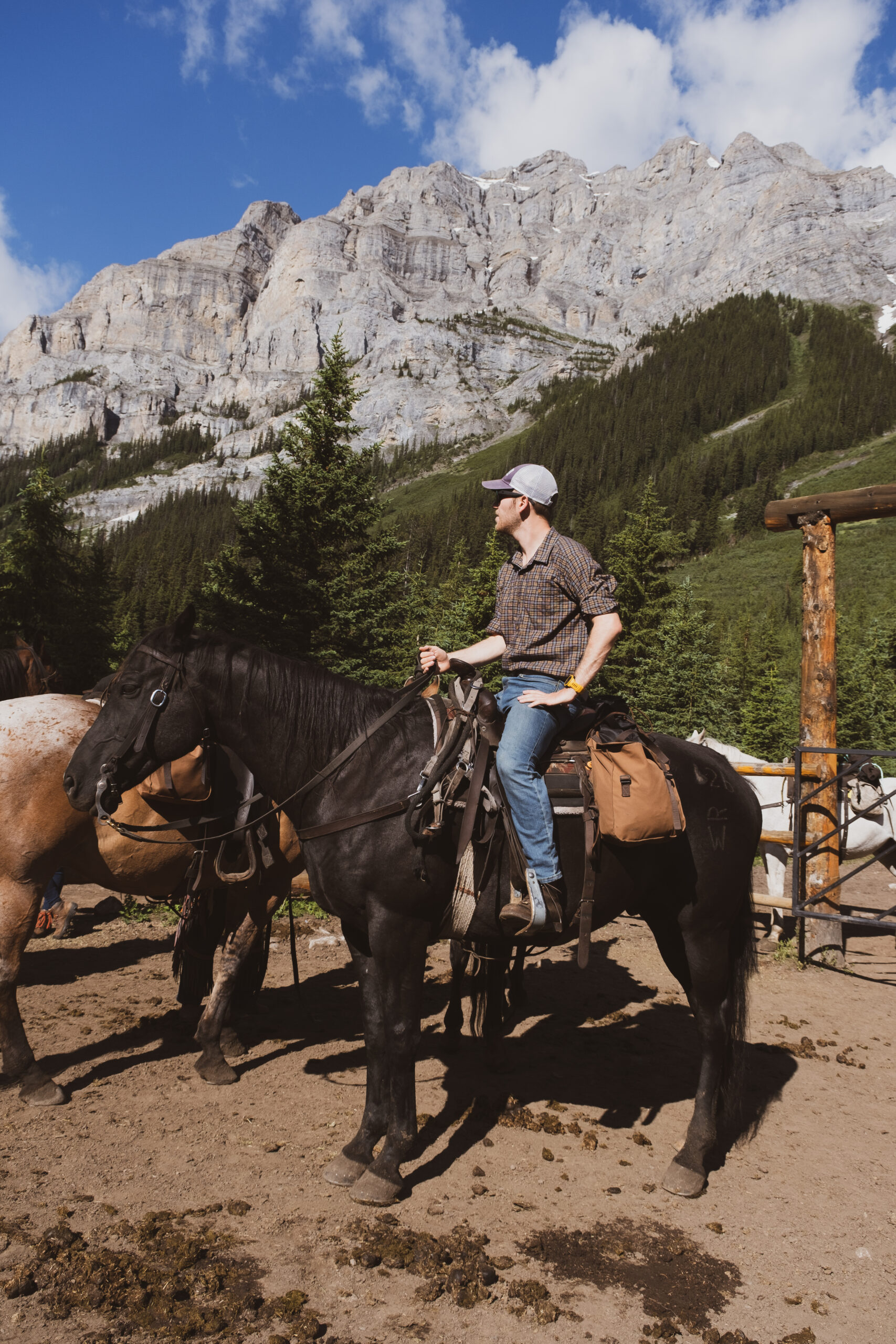 Cameron On His Horse At Halfway Lodge