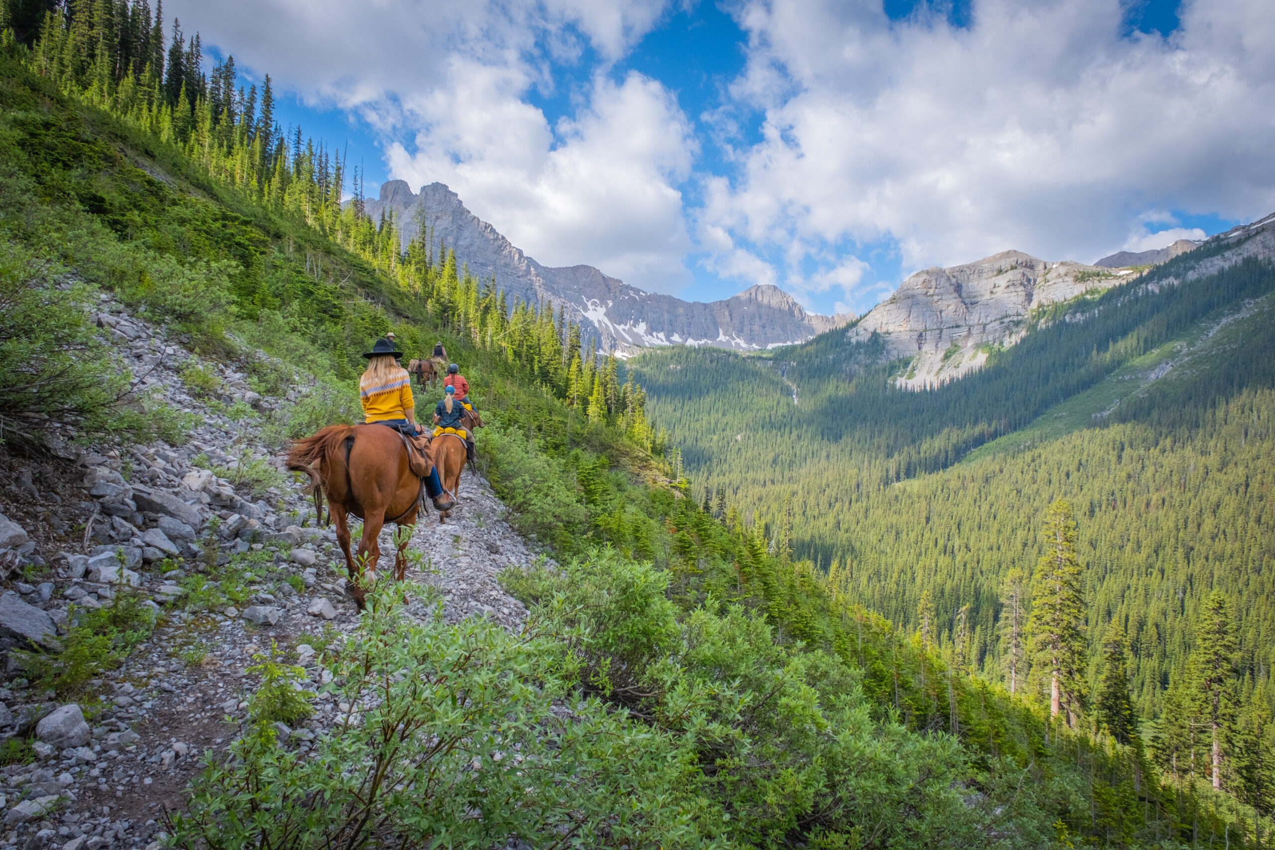 Climbing Allenby Pass On Hoseback