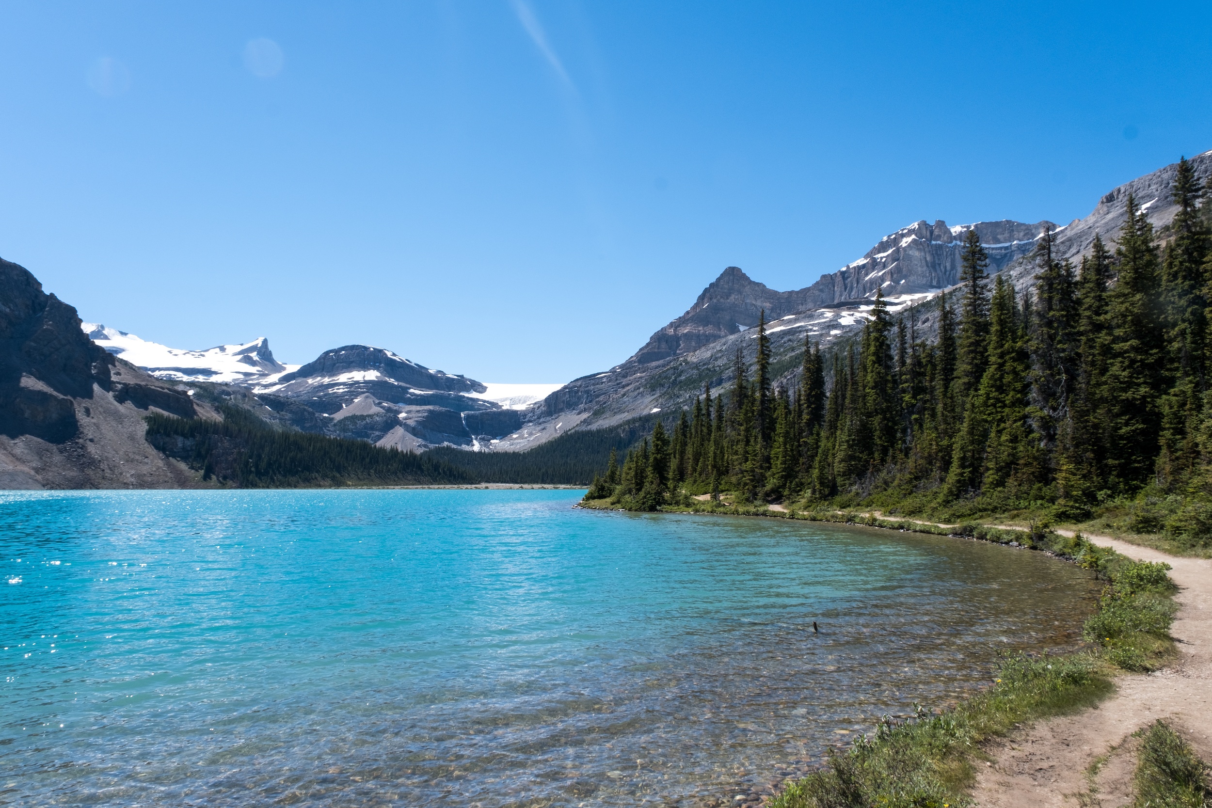 15 Things to Know About Visiting Bow Lake in Banff - The Banff Blog