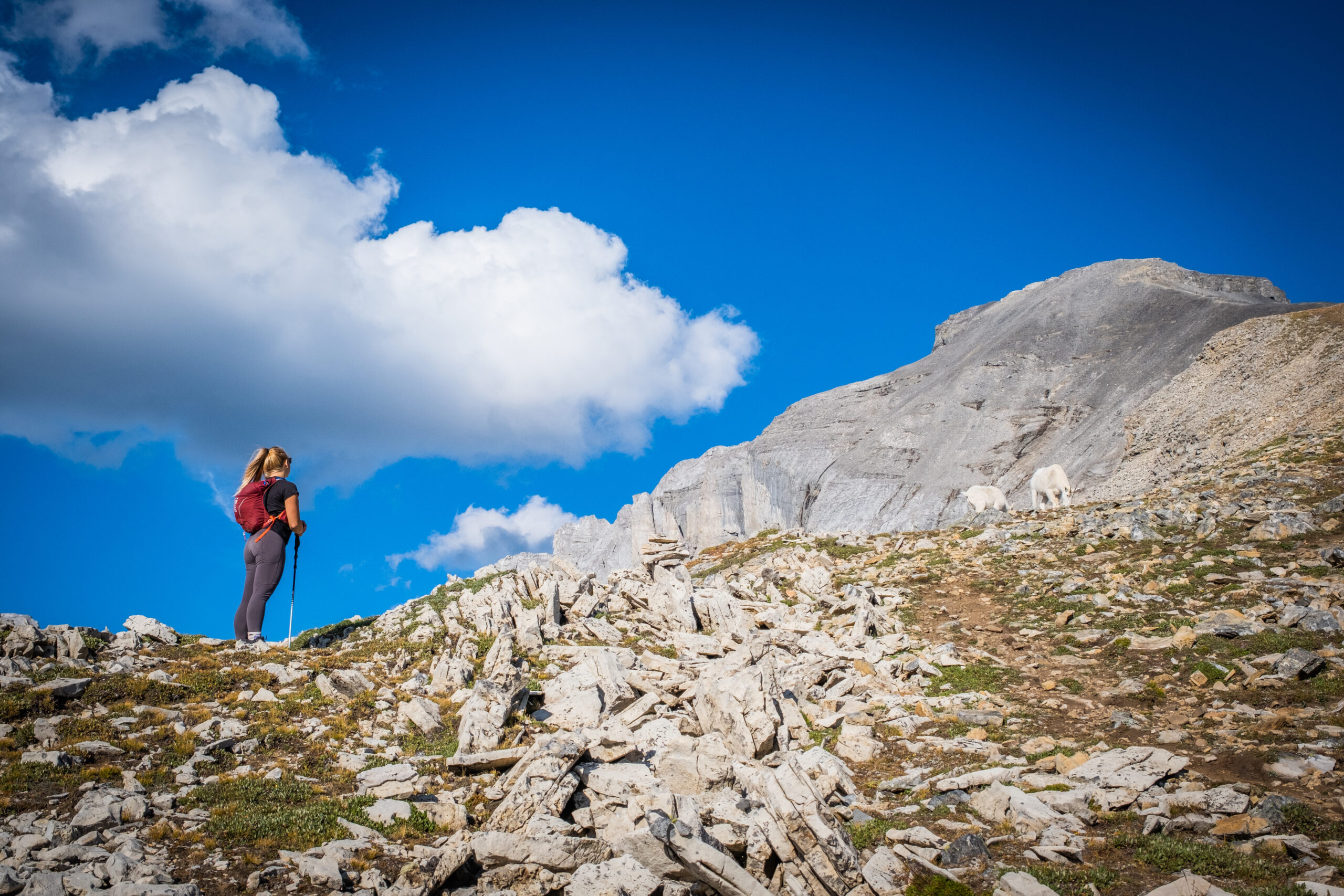 Natasha and Mountain Goat